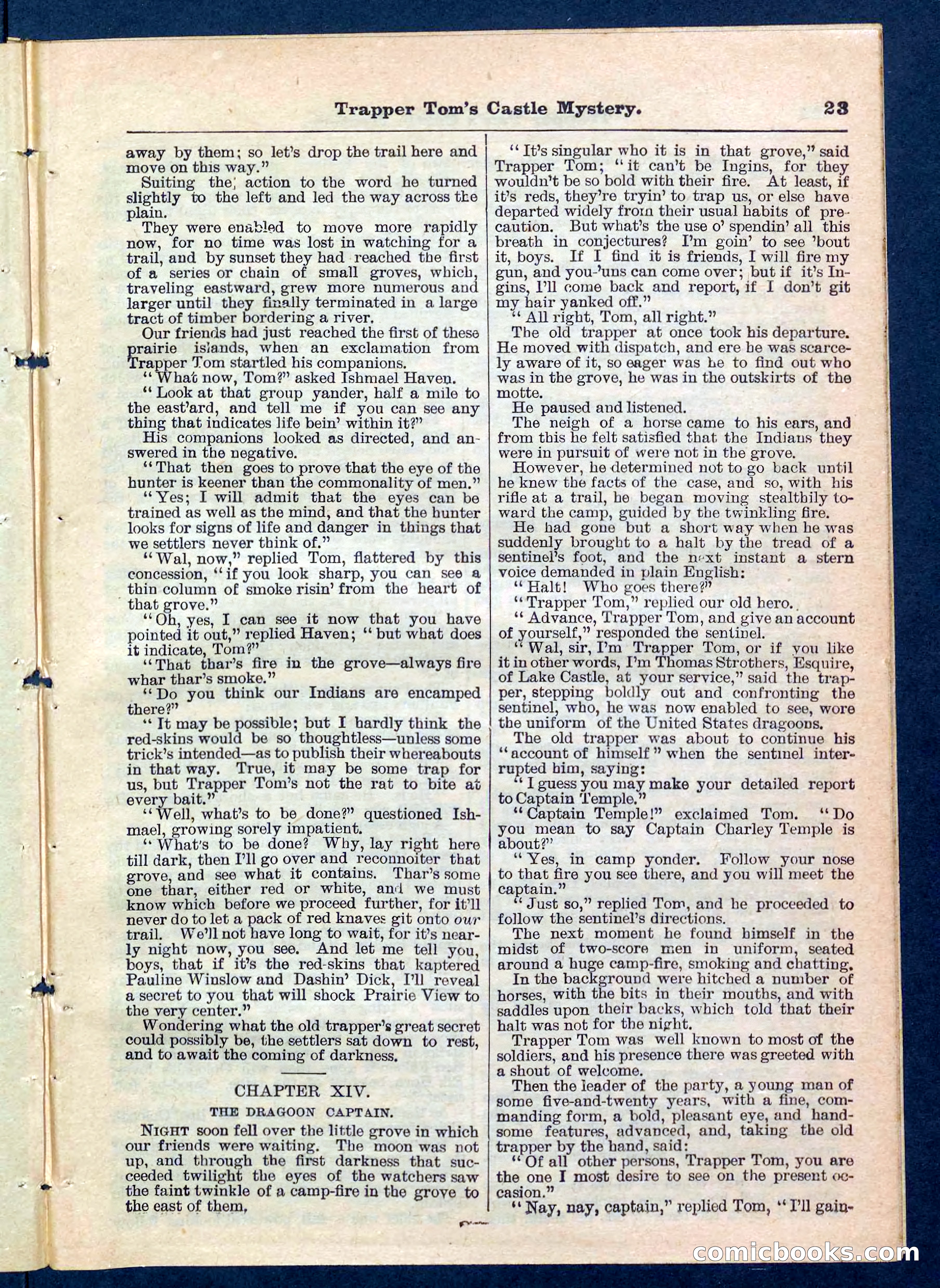 Beadle's Pocket Library No. 208 — page 23 of 32
