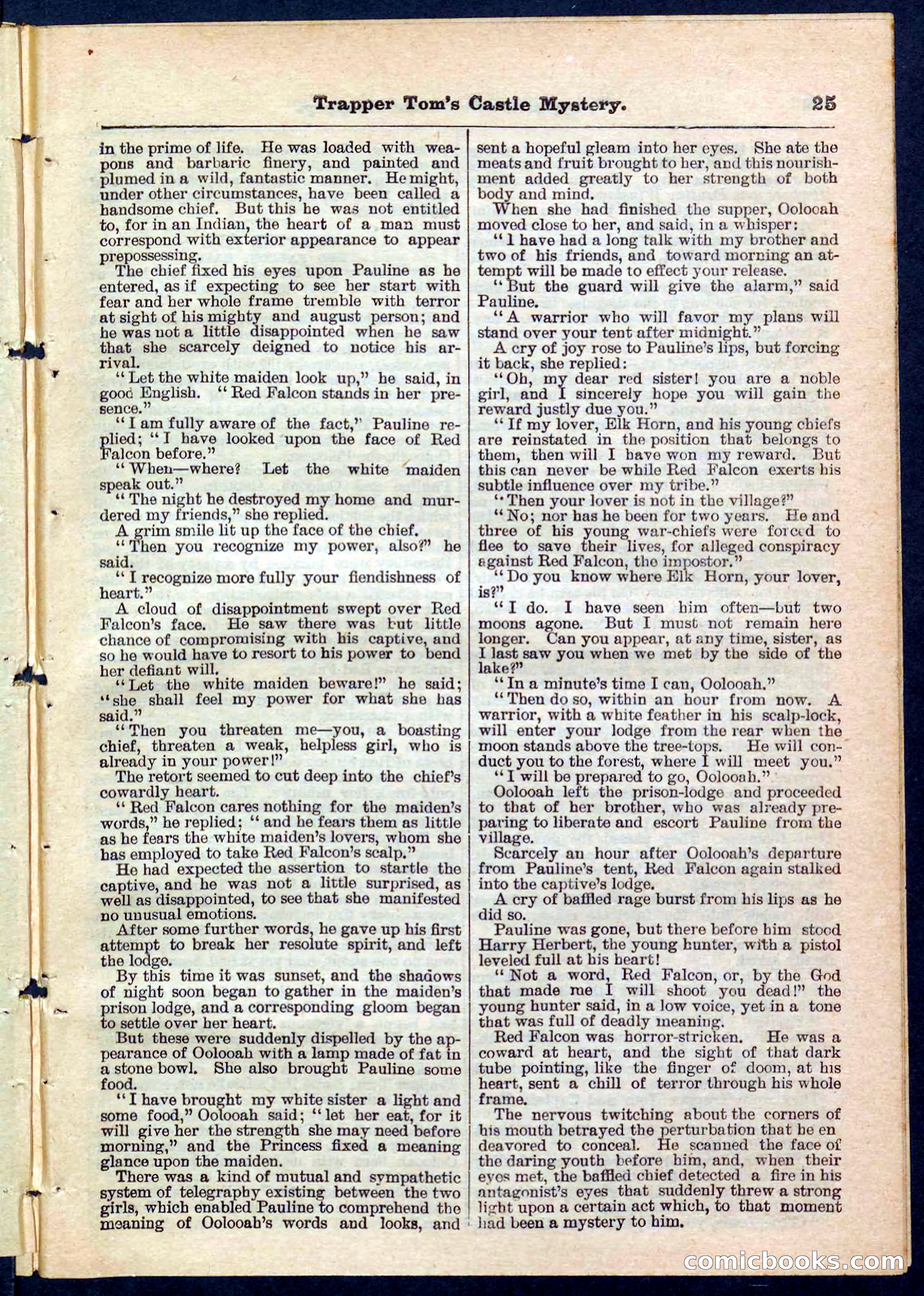 Beadle's Pocket Library No. 208 — page 24 of 32