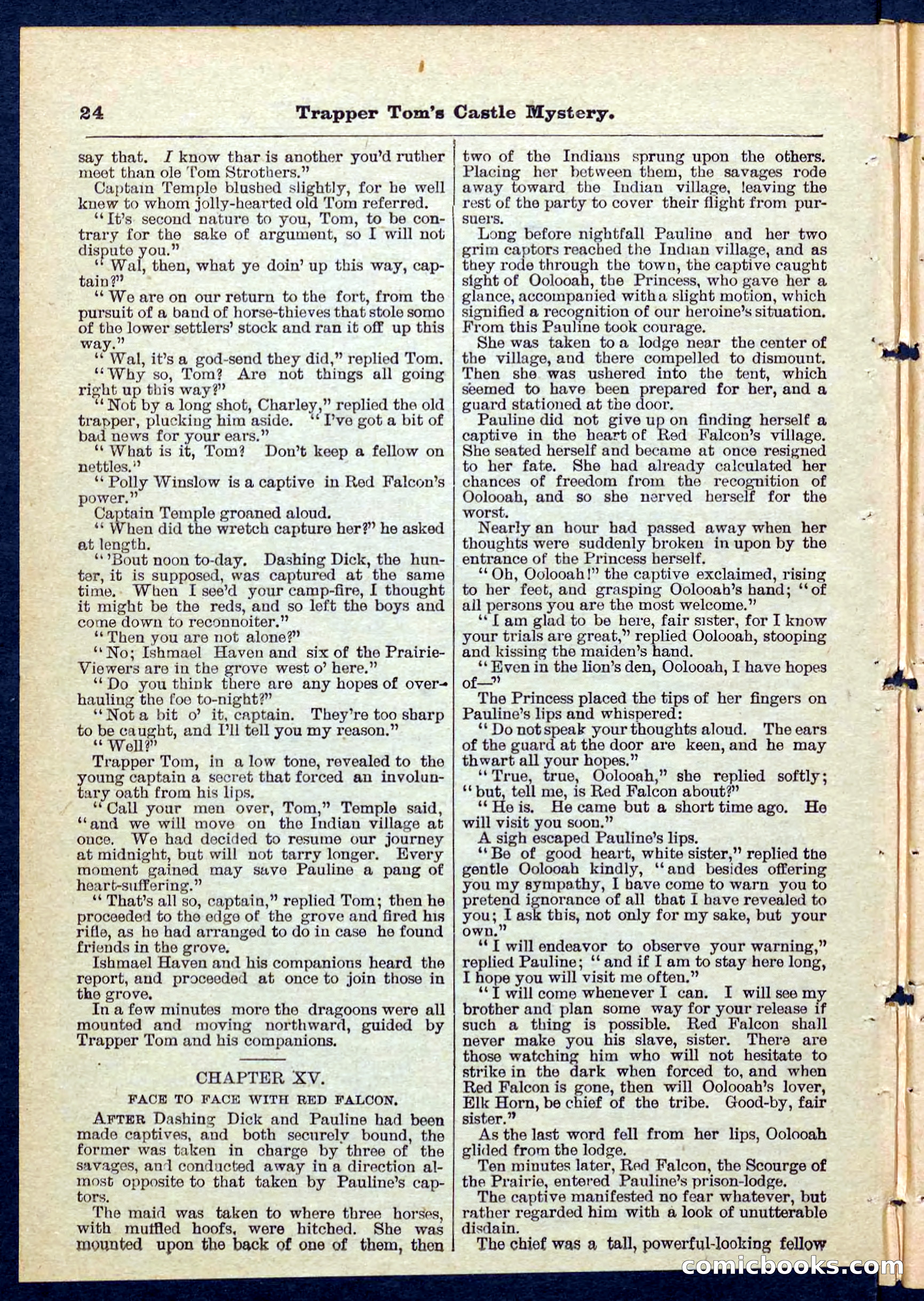 Beadle's Pocket Library No. 208 — page 25 of 32