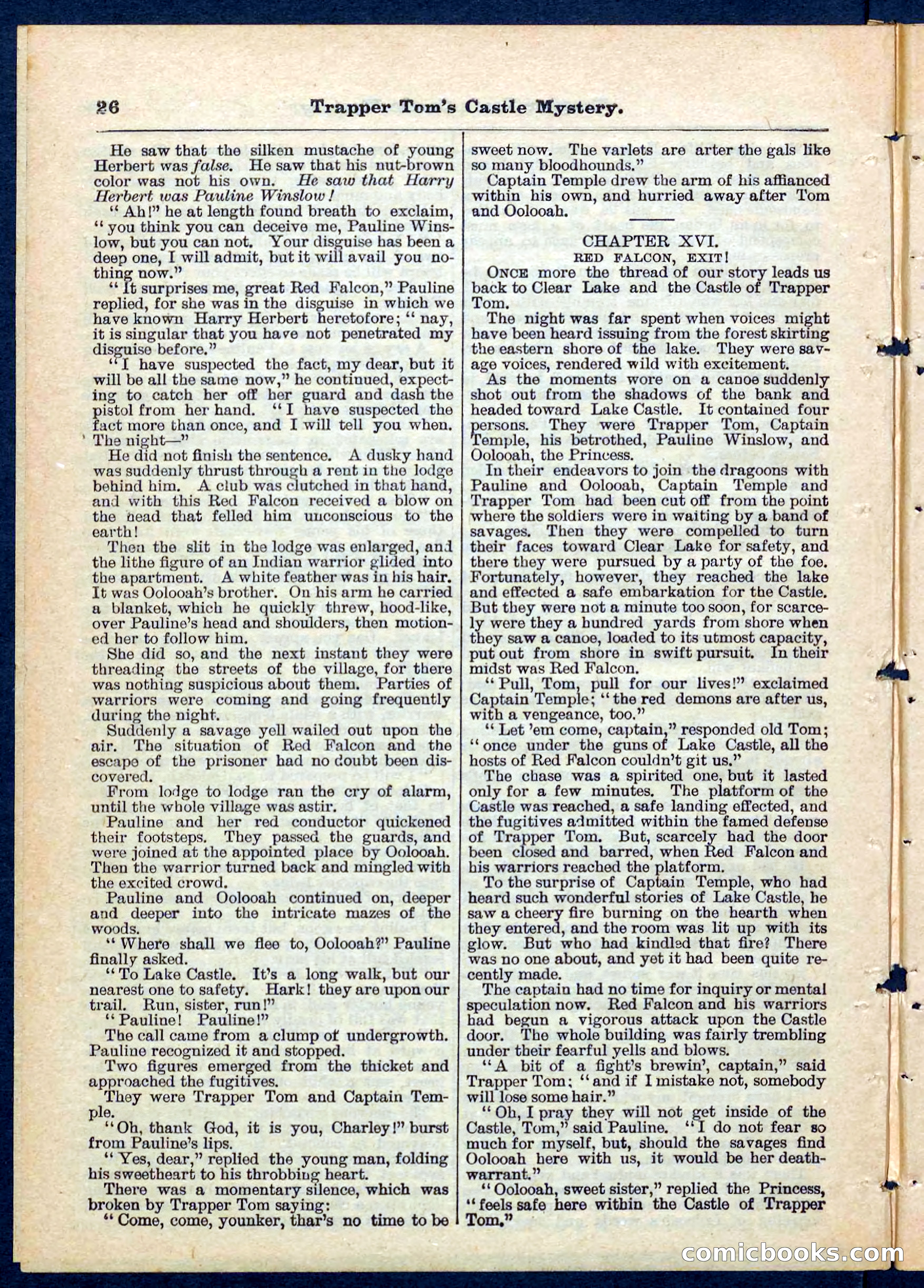 Beadle's Pocket Library No. 208 — page 27 of 32