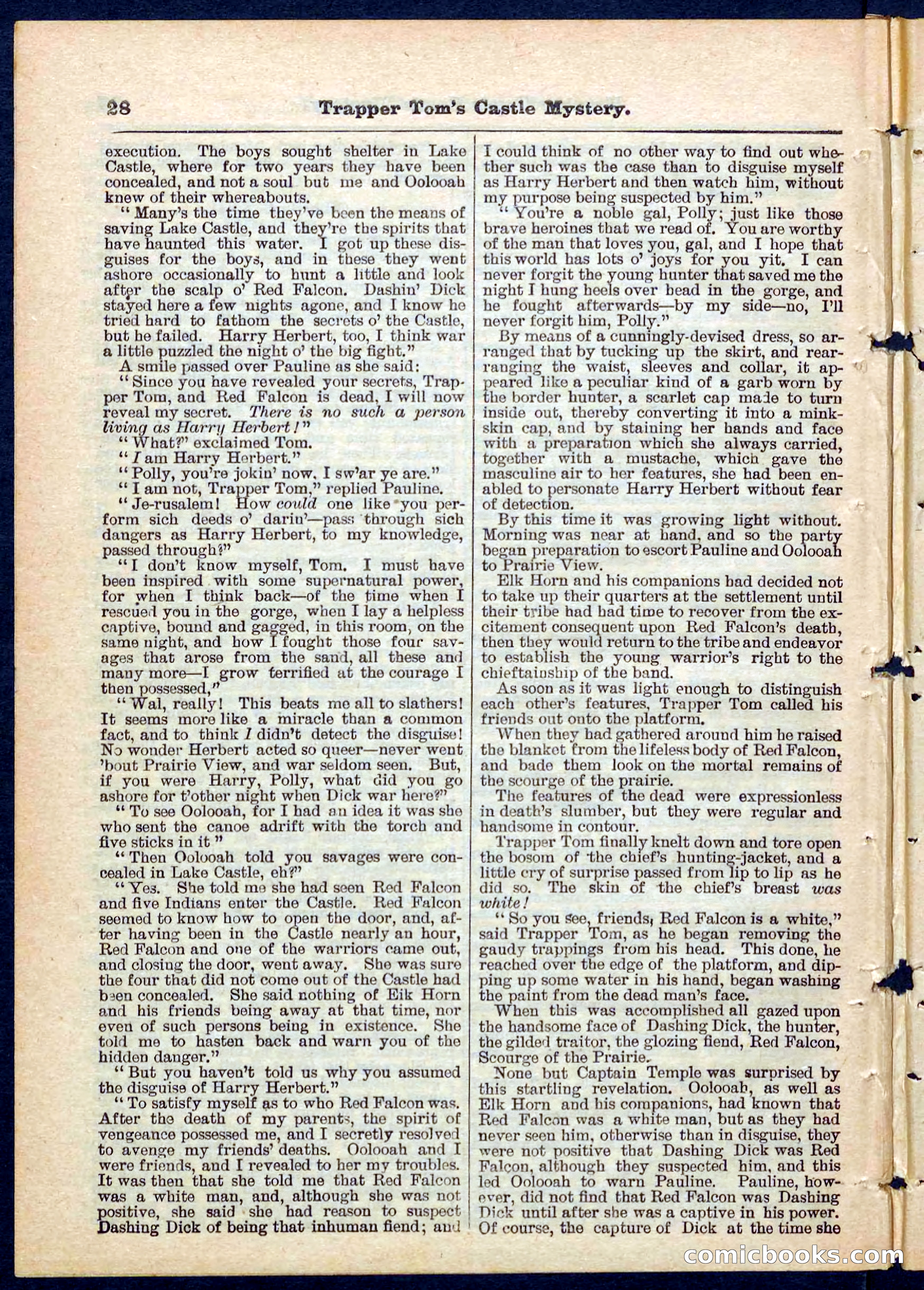 Beadle's Pocket Library No. 208 — page 28 of 32