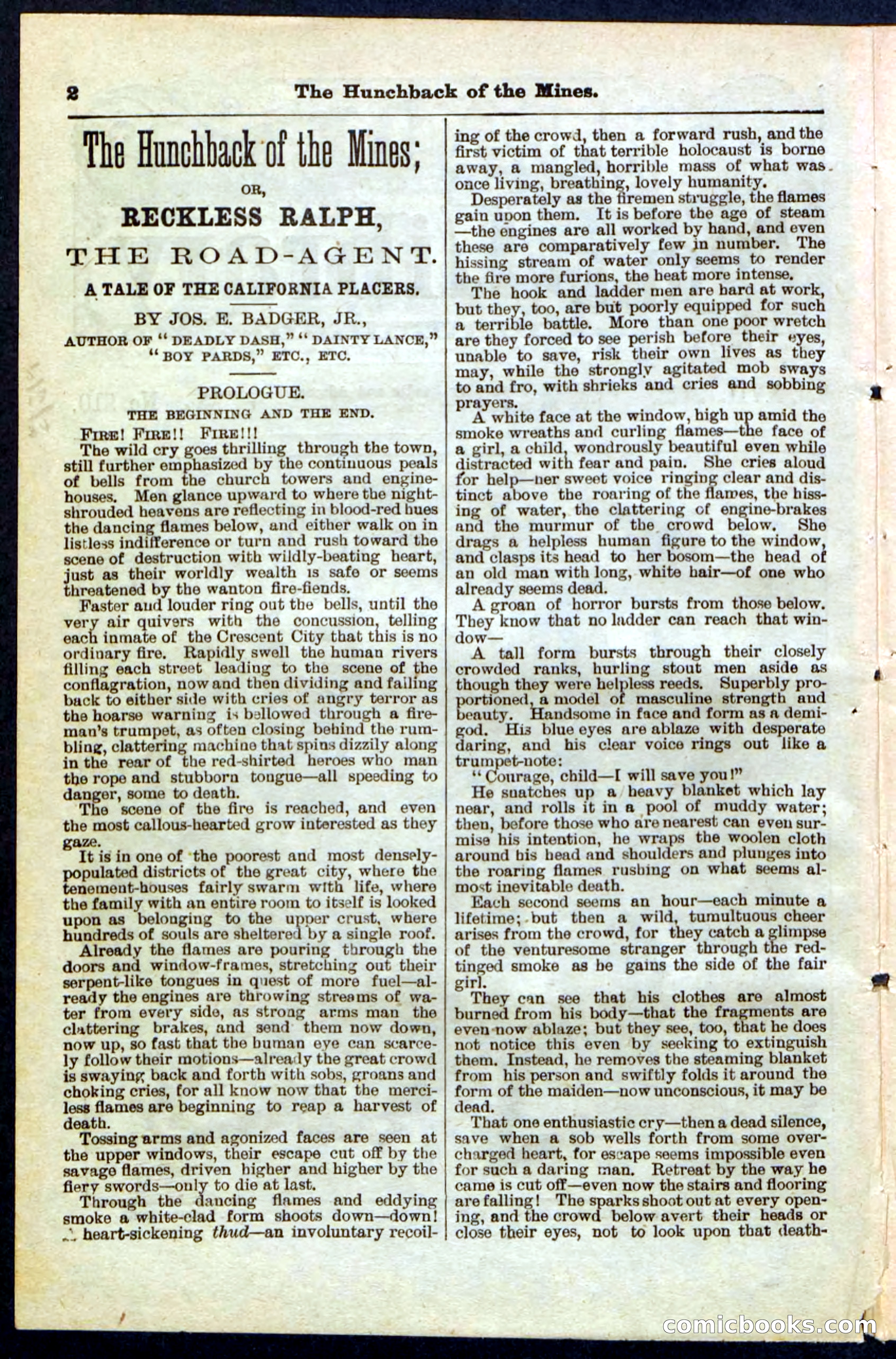 Beadle's Pocket Library No. 210 — page 2 of 32