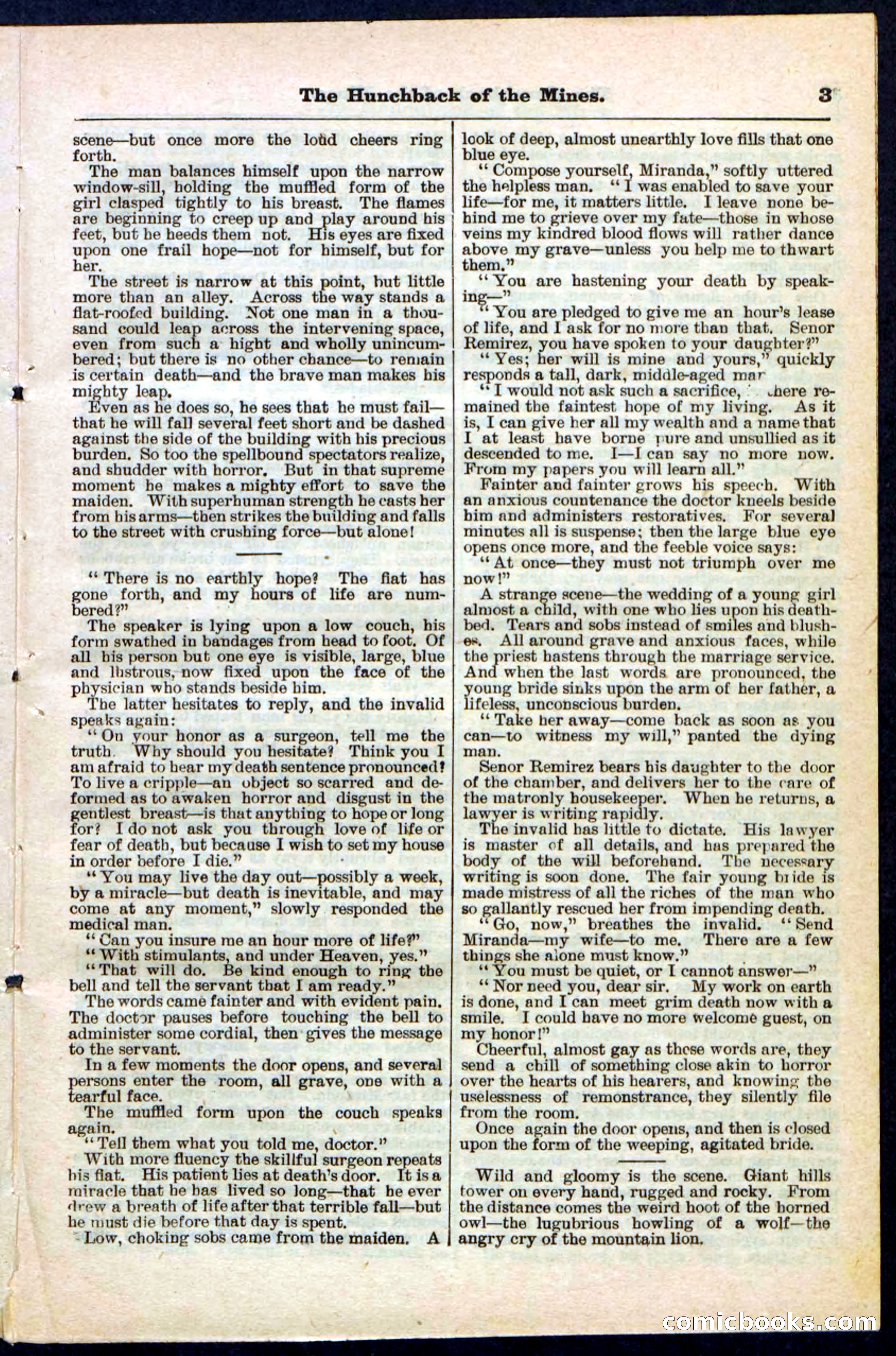 Beadle's Pocket Library No. 210 — page 3 of 32