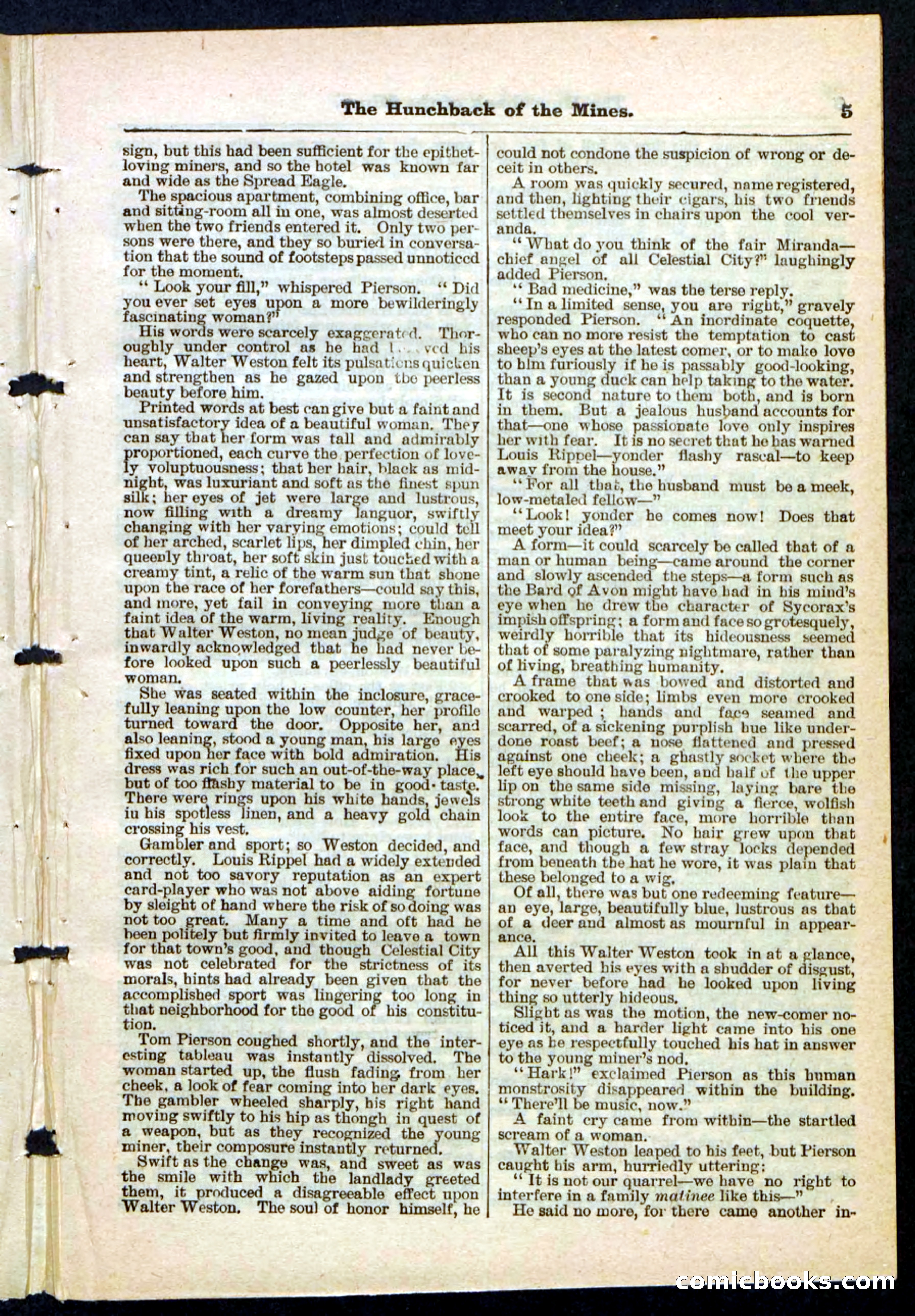 Beadle's Pocket Library No. 210 — page 5 of 32