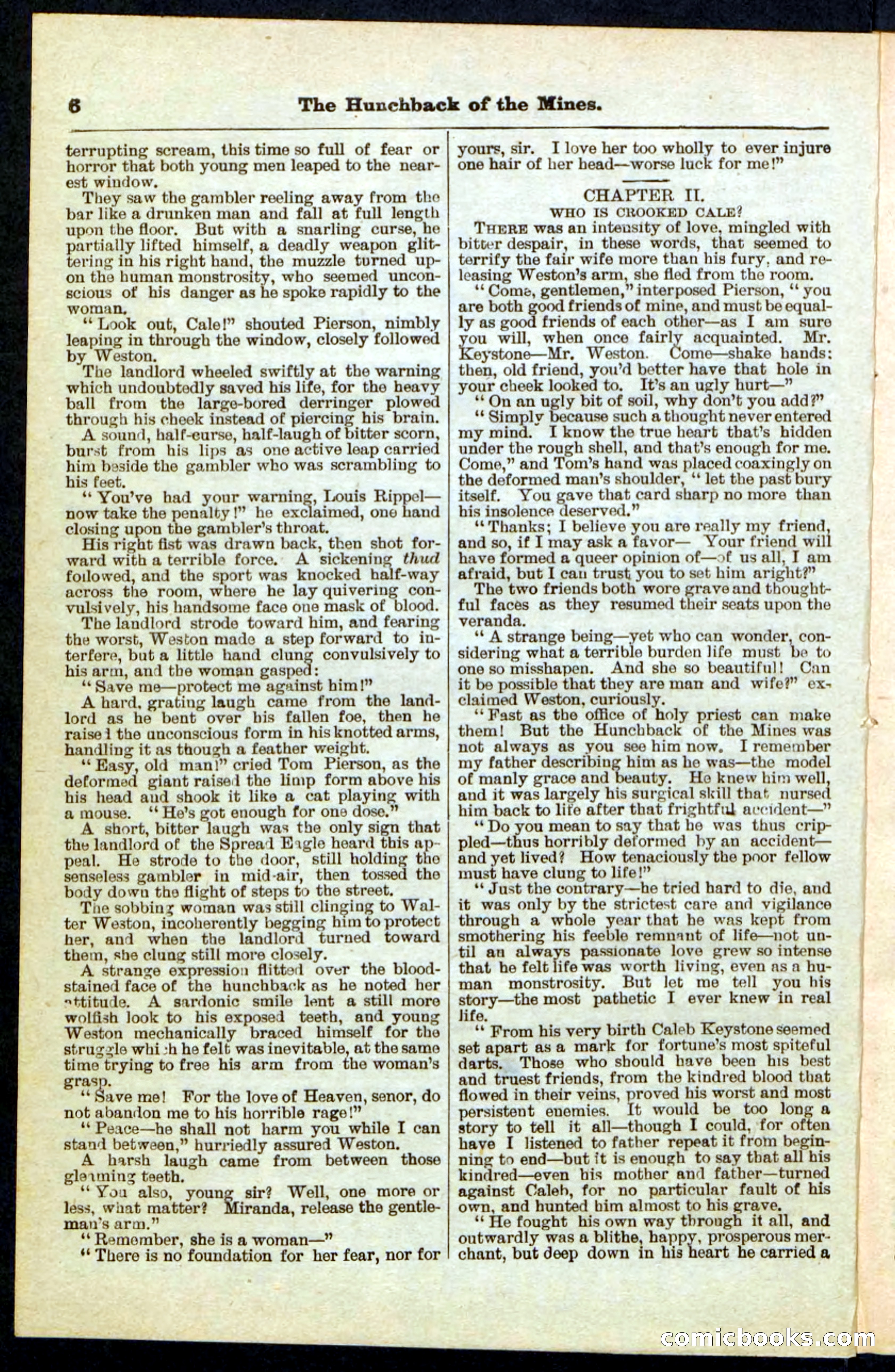 Beadle's Pocket Library No. 210 — page 6 of 32