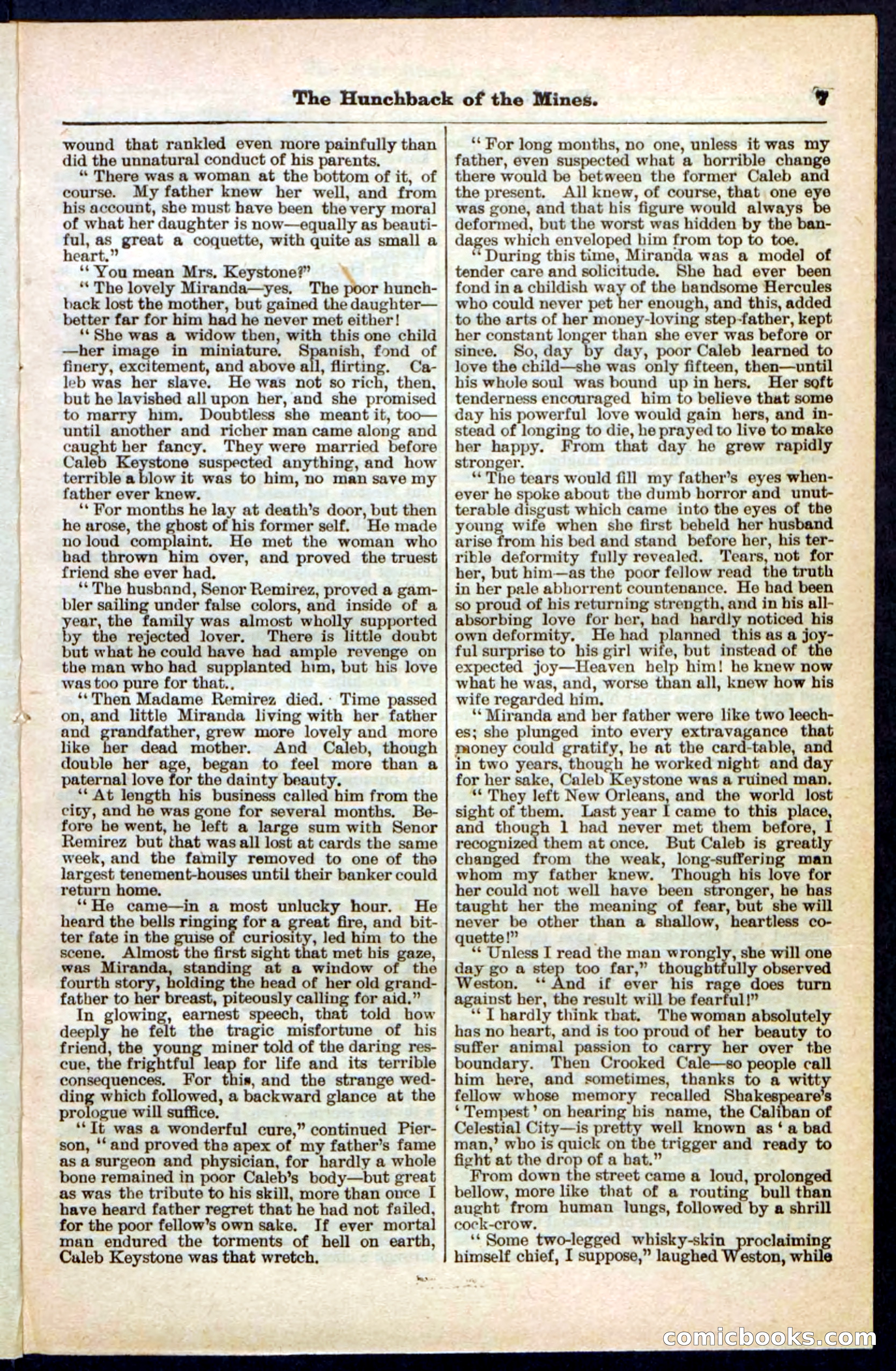 Beadle's Pocket Library No. 210 — page 7 of 32