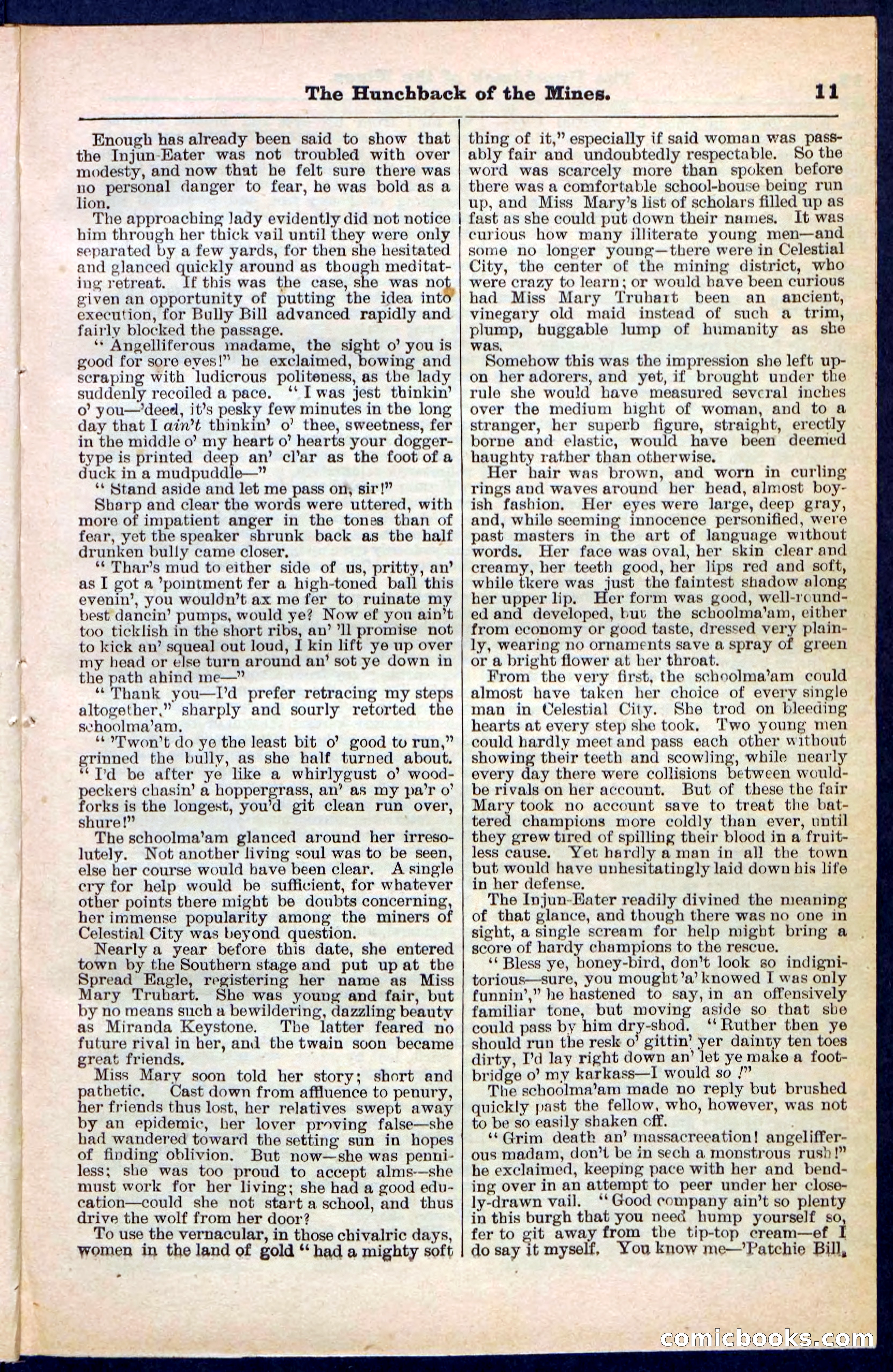 Beadle's Pocket Library No. 210 — page 11 of 32