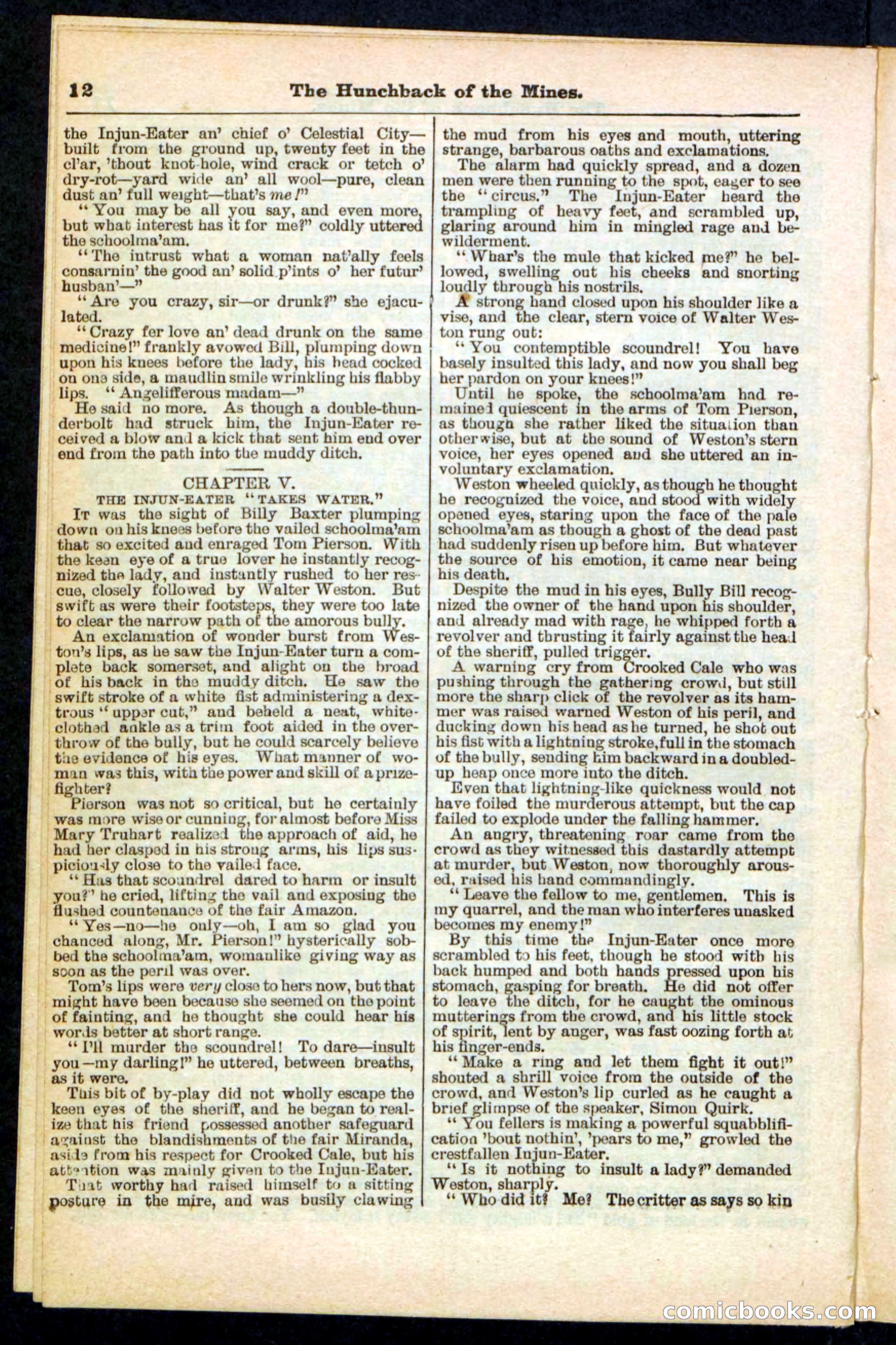 Beadle's Pocket Library No. 210 — page 12 of 32
