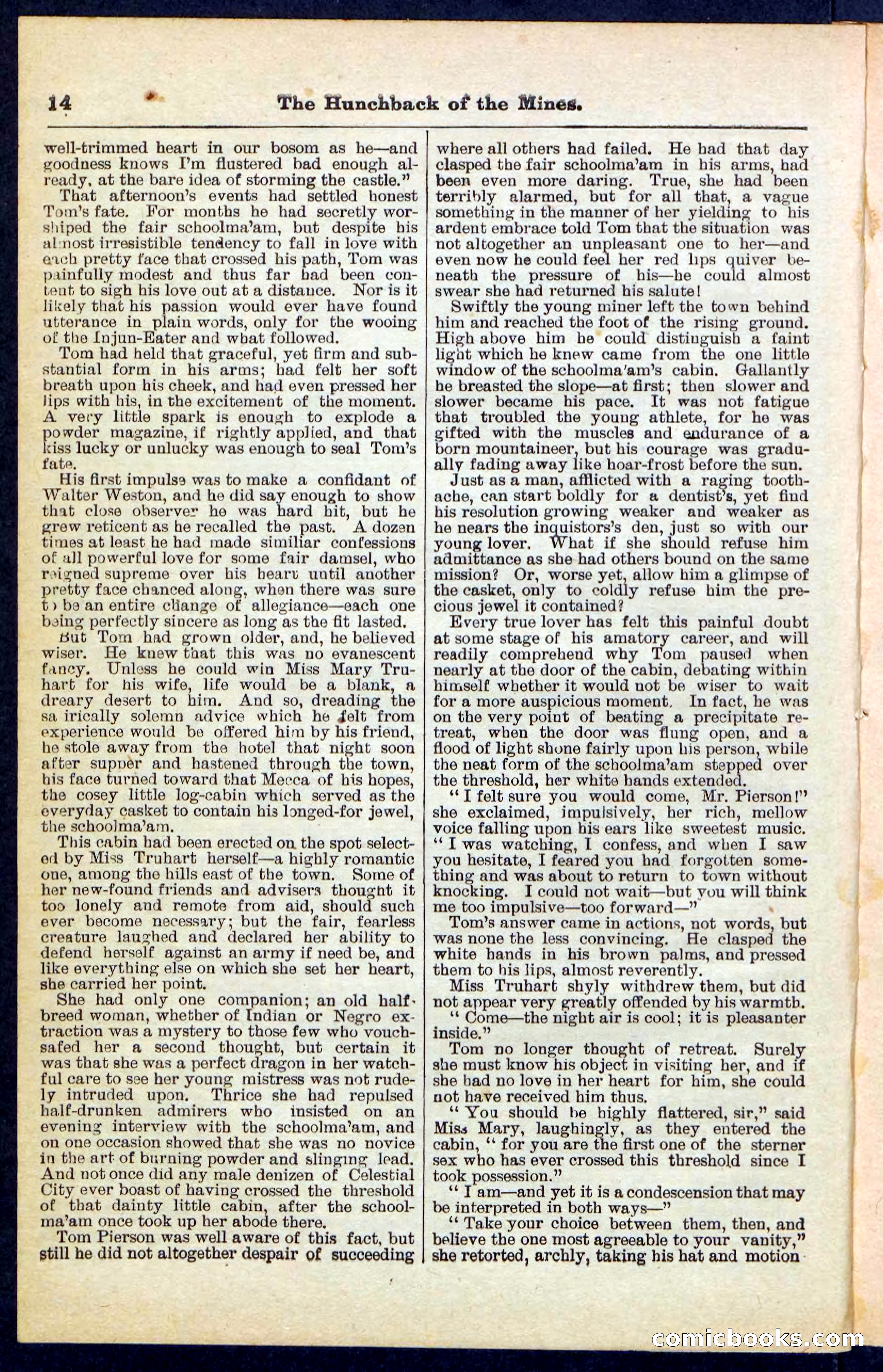 Beadle's Pocket Library No. 210 — page 14 of 32