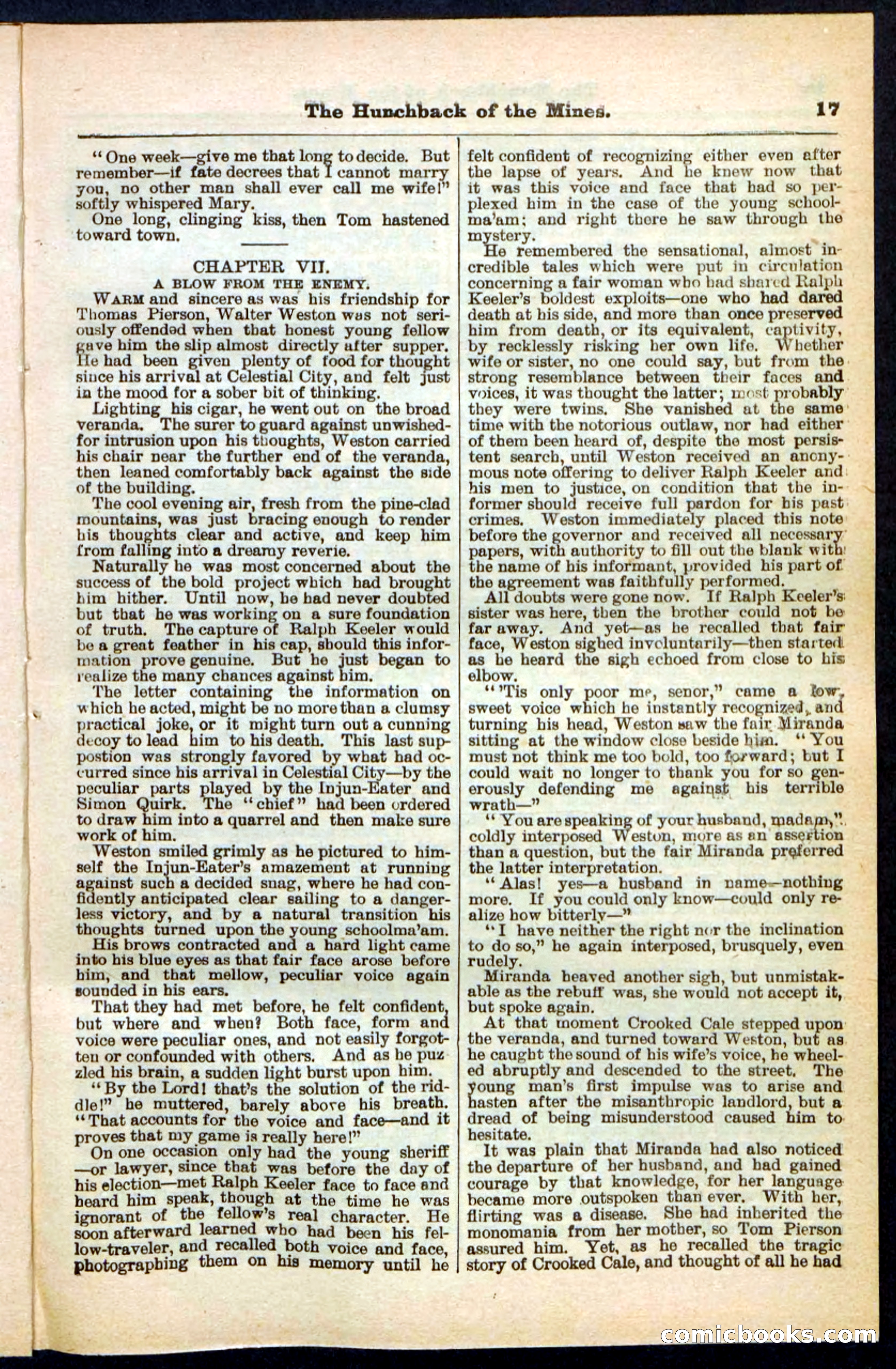 Beadle's Pocket Library No. 210 — page 17 of 32