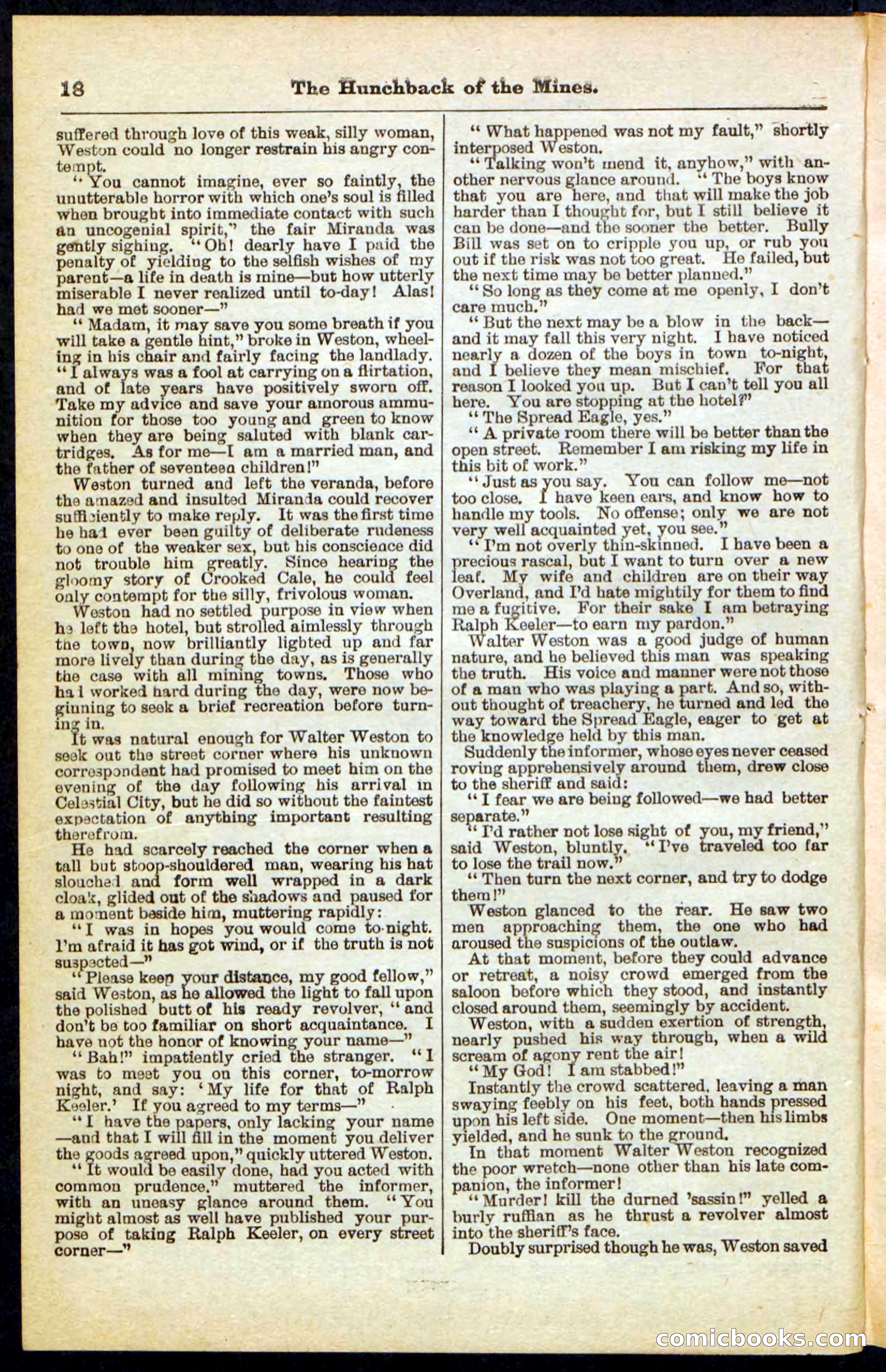Beadle's Pocket Library No. 210 — page 18 of 32