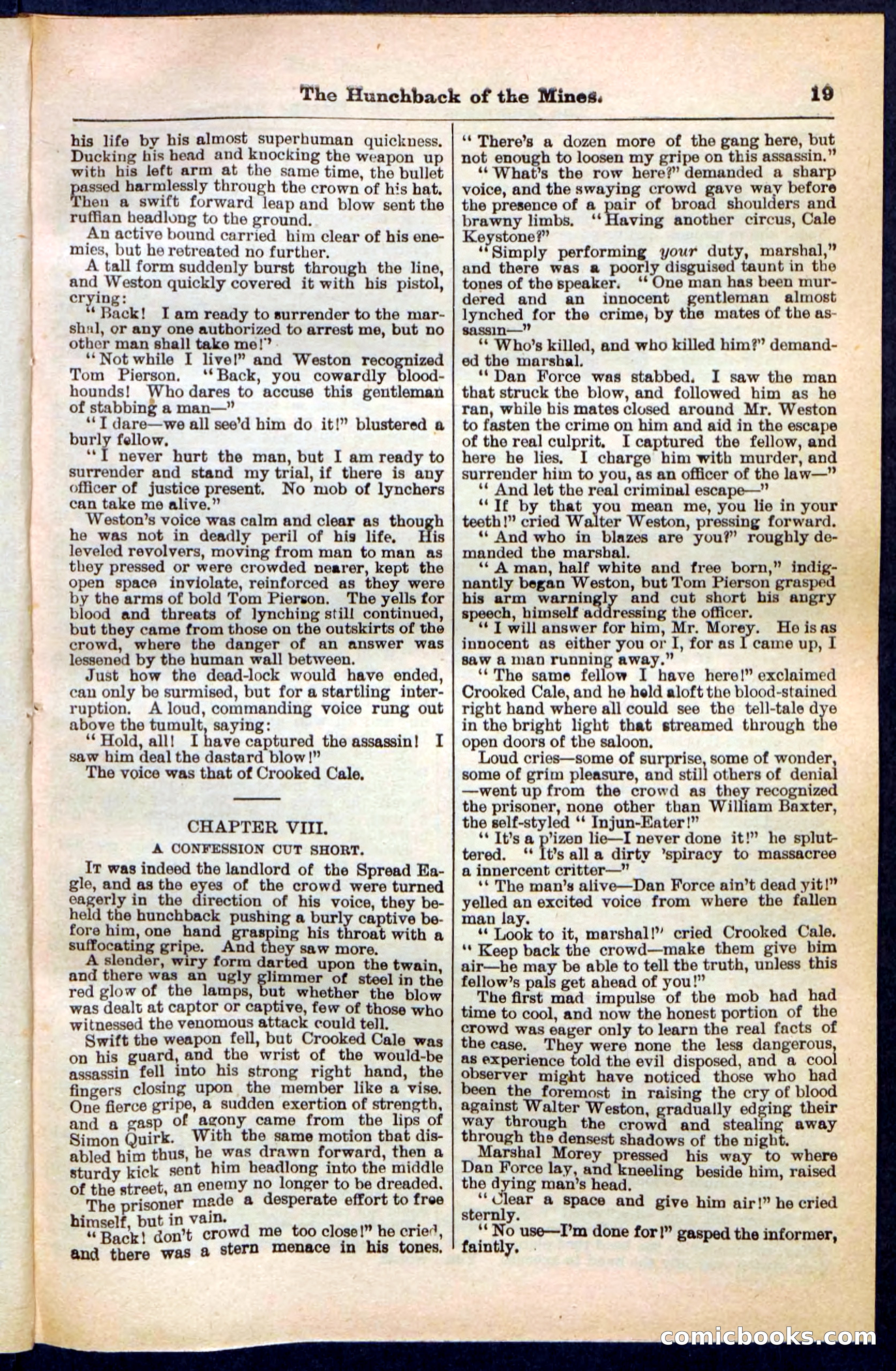 Beadle's Pocket Library No. 210 — page 19 of 32