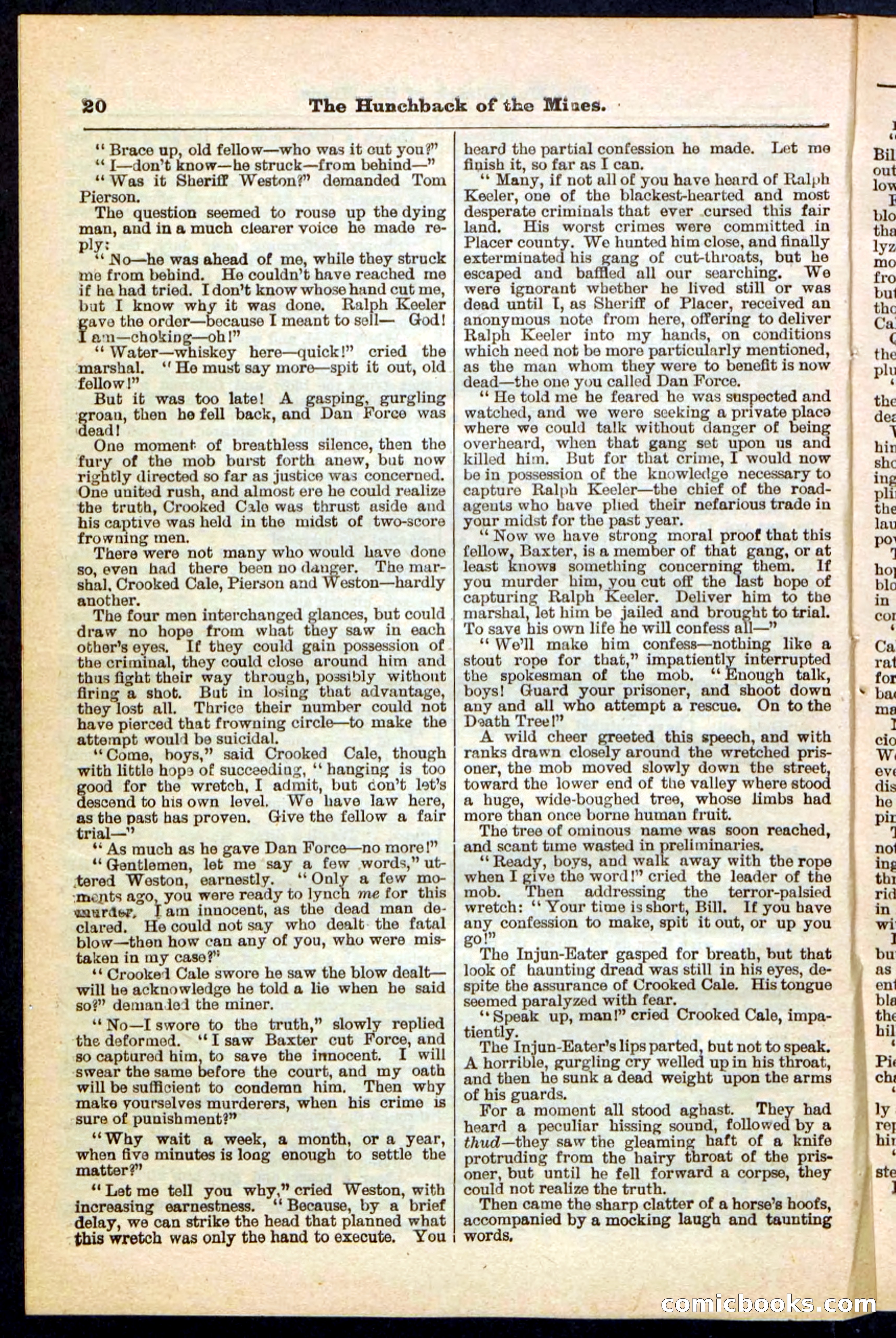 Beadle's Pocket Library No. 210 — page 20 of 32