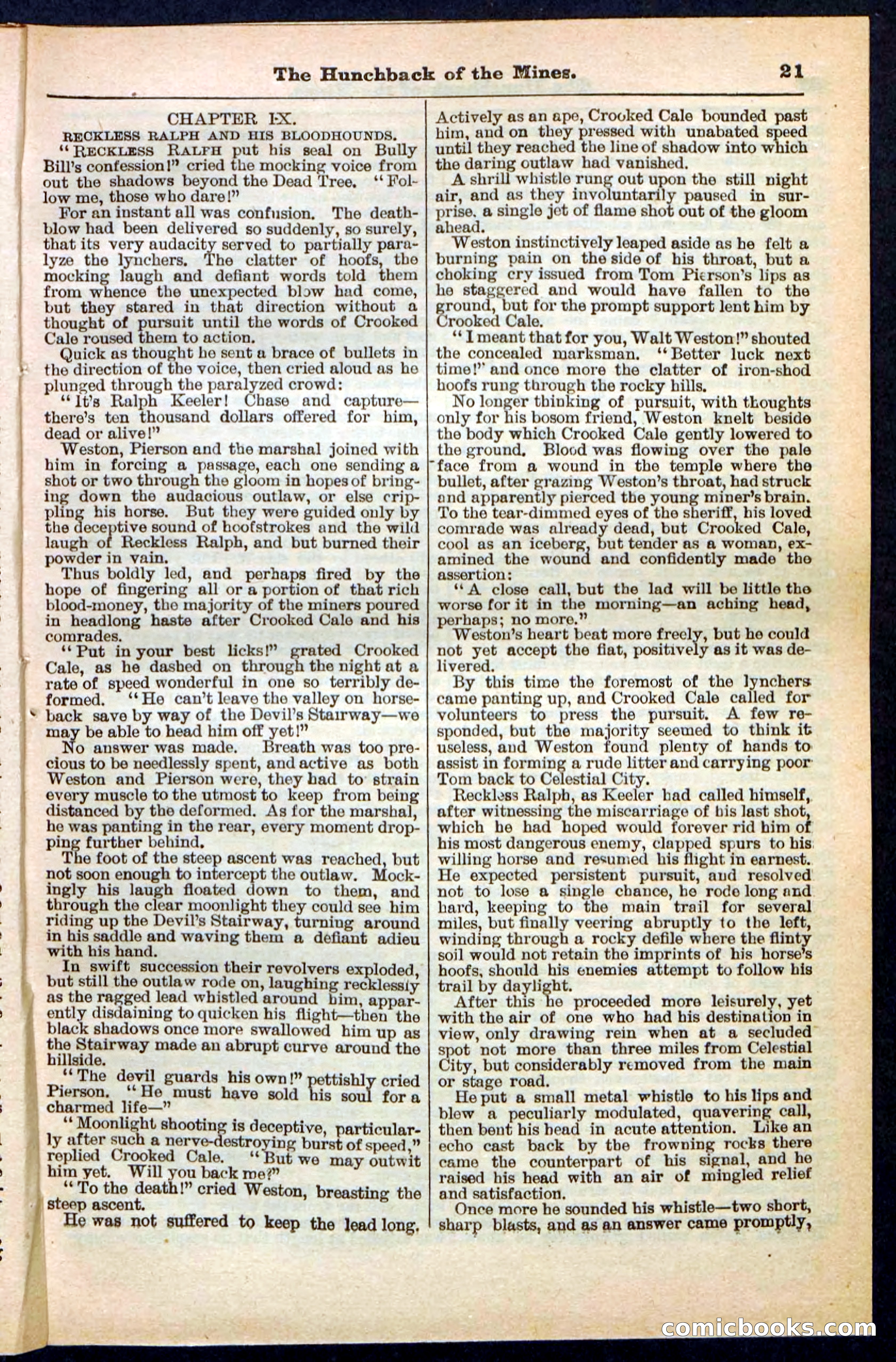 Beadle's Pocket Library No. 210 — page 21 of 32