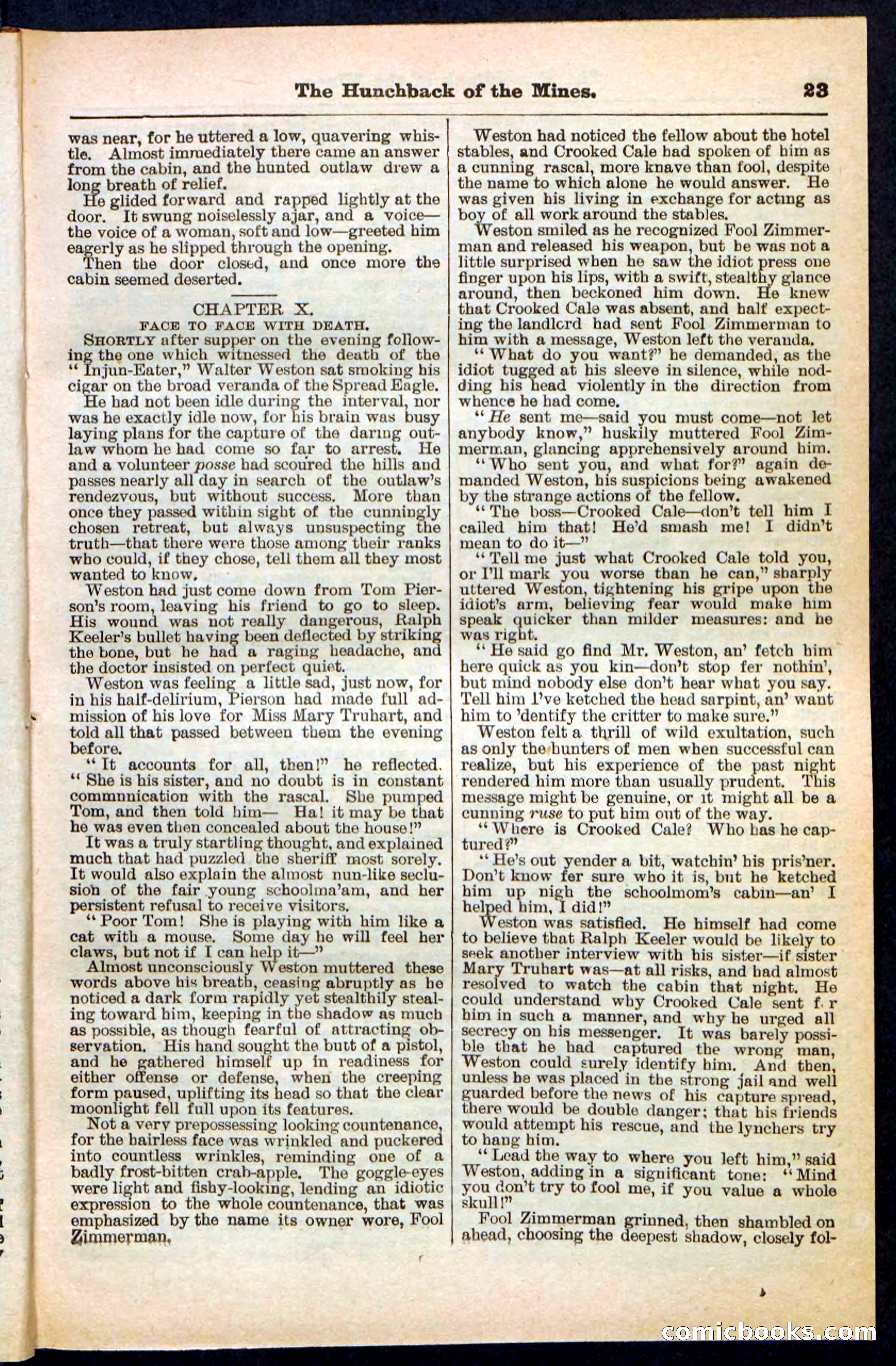 Beadle's Pocket Library No. 210 — page 23 of 32