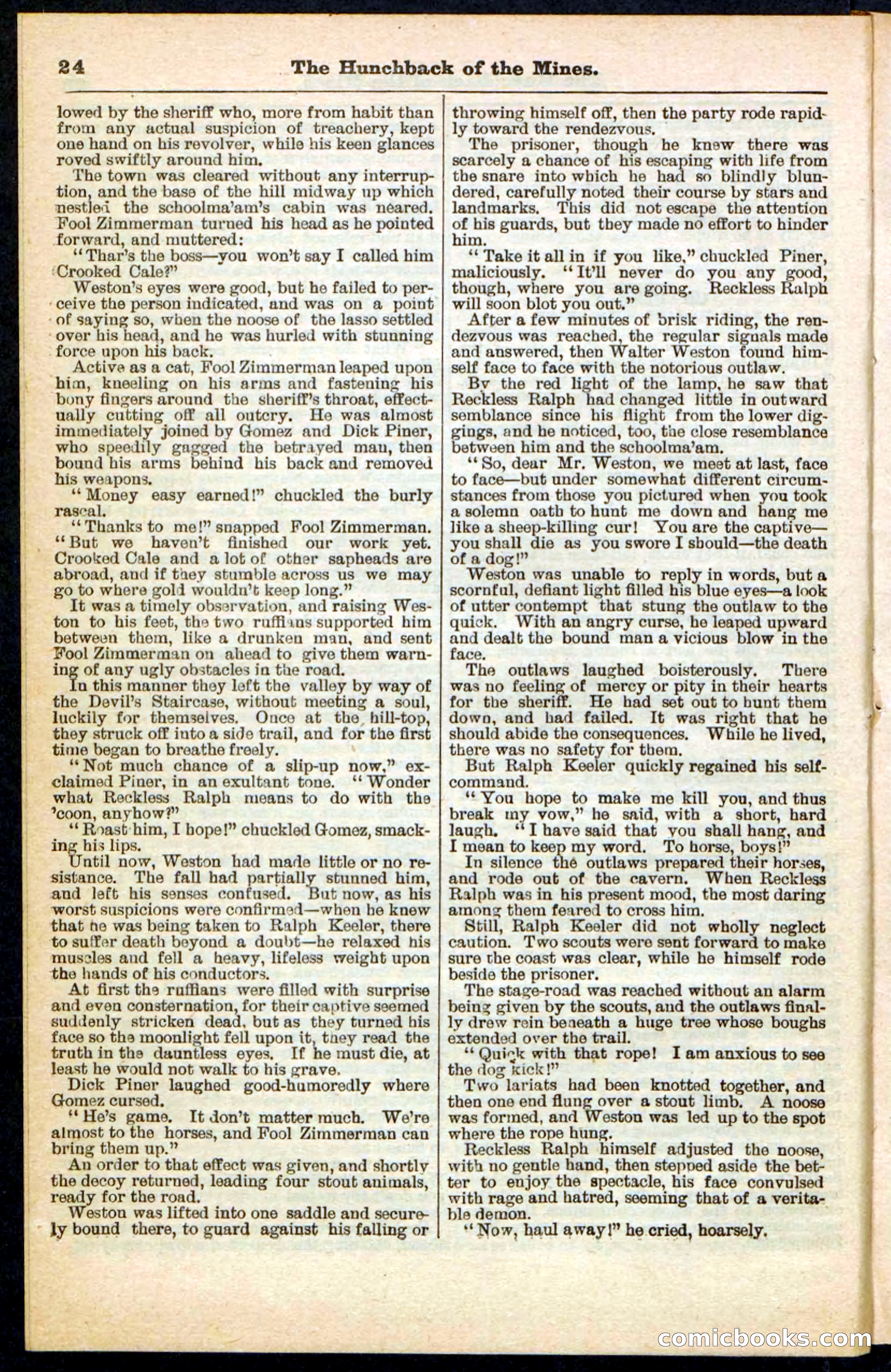 Beadle's Pocket Library No. 210 — page 24 of 32