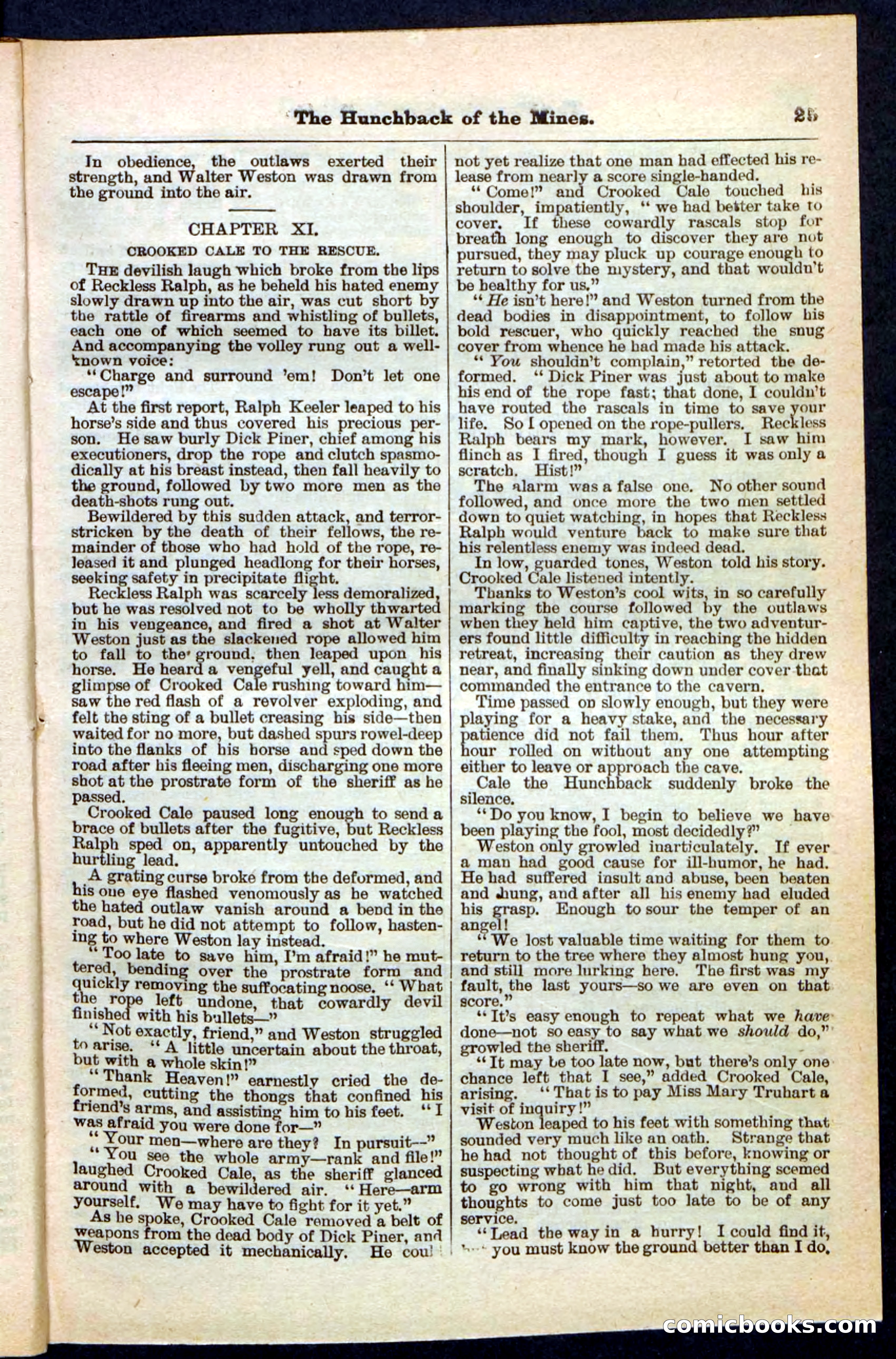 Beadle's Pocket Library No. 210 — page 25 of 32