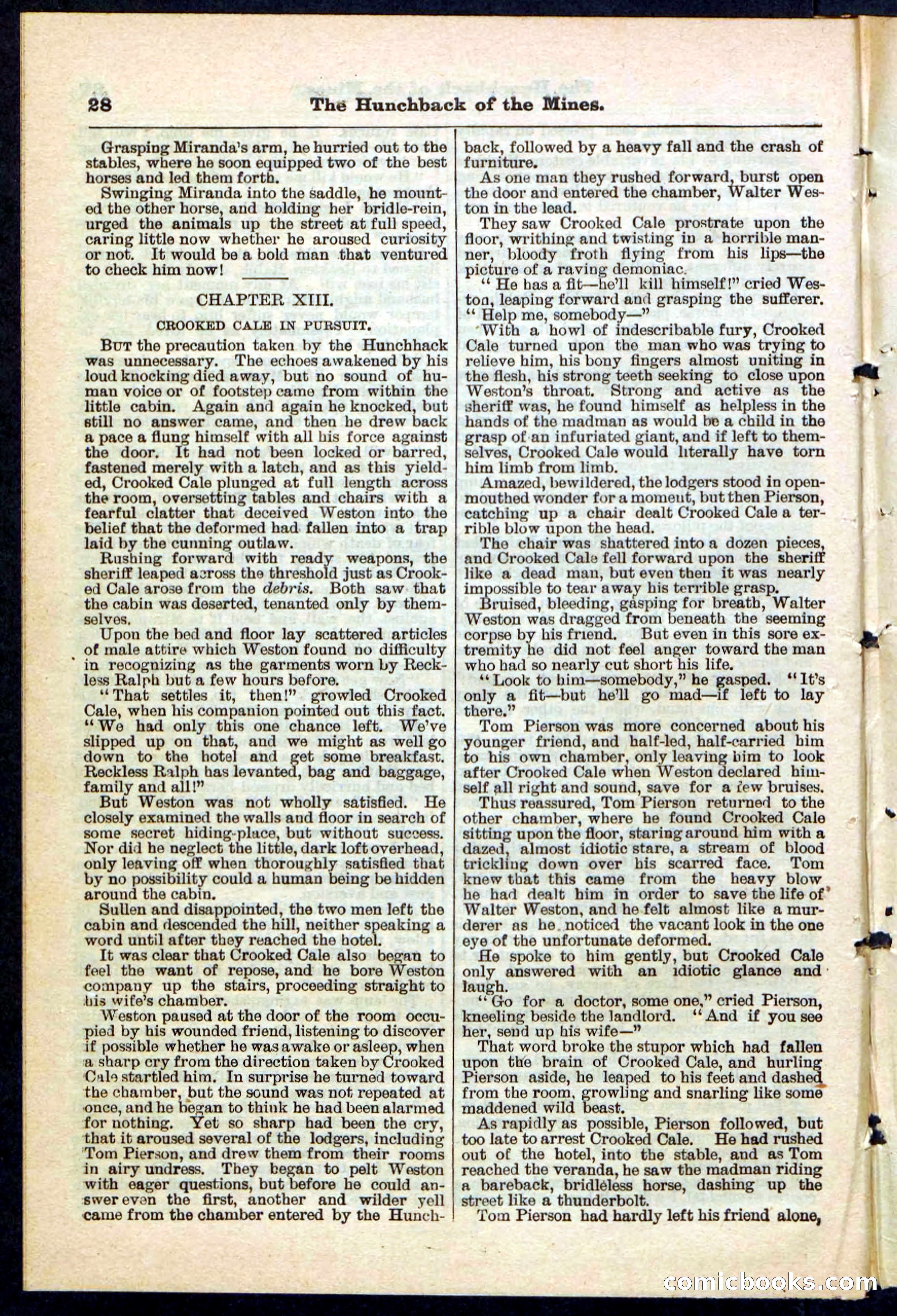 Beadle's Pocket Library No. 210 — page 28 of 32