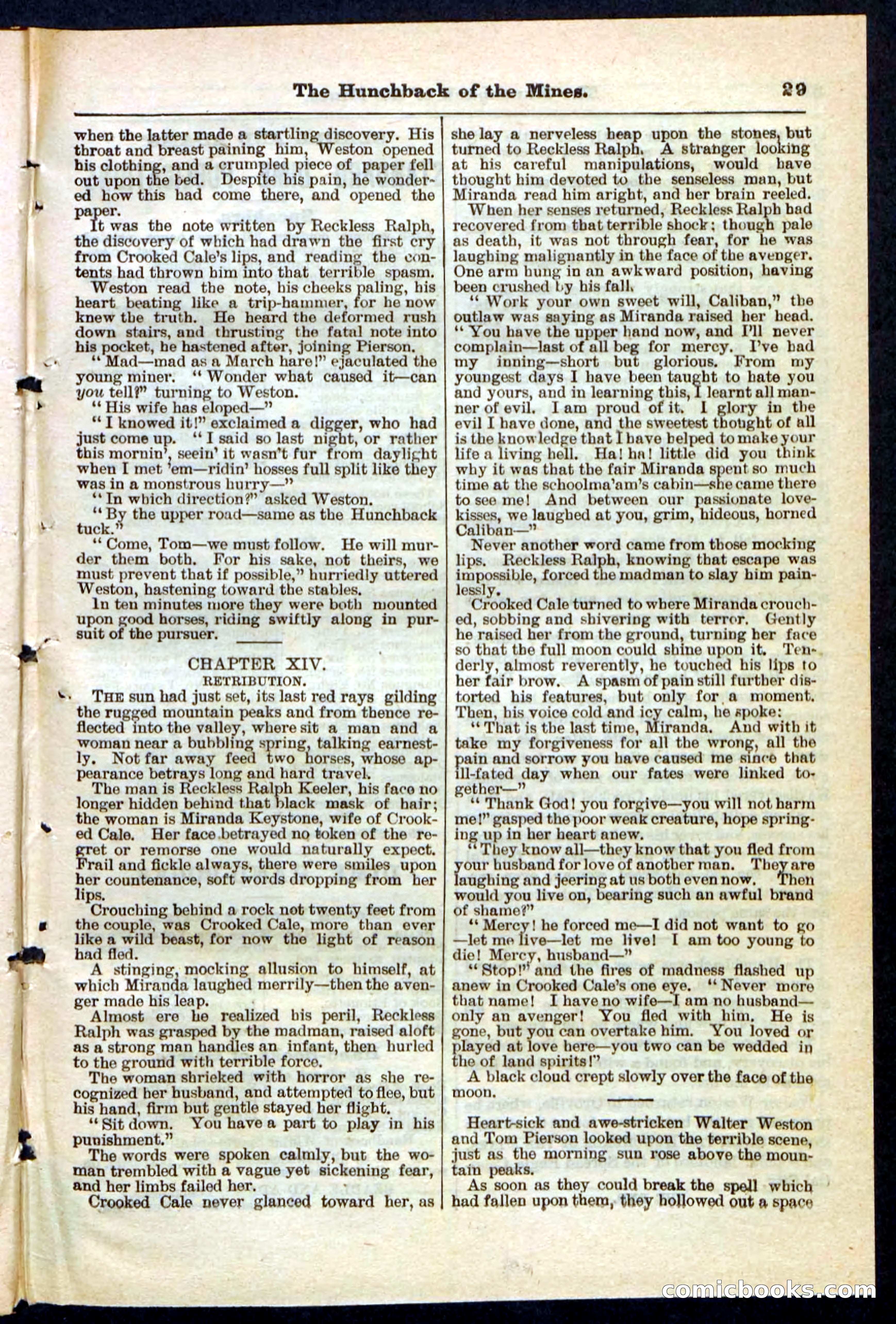 Beadle's Pocket Library No. 210 — page 29 of 32