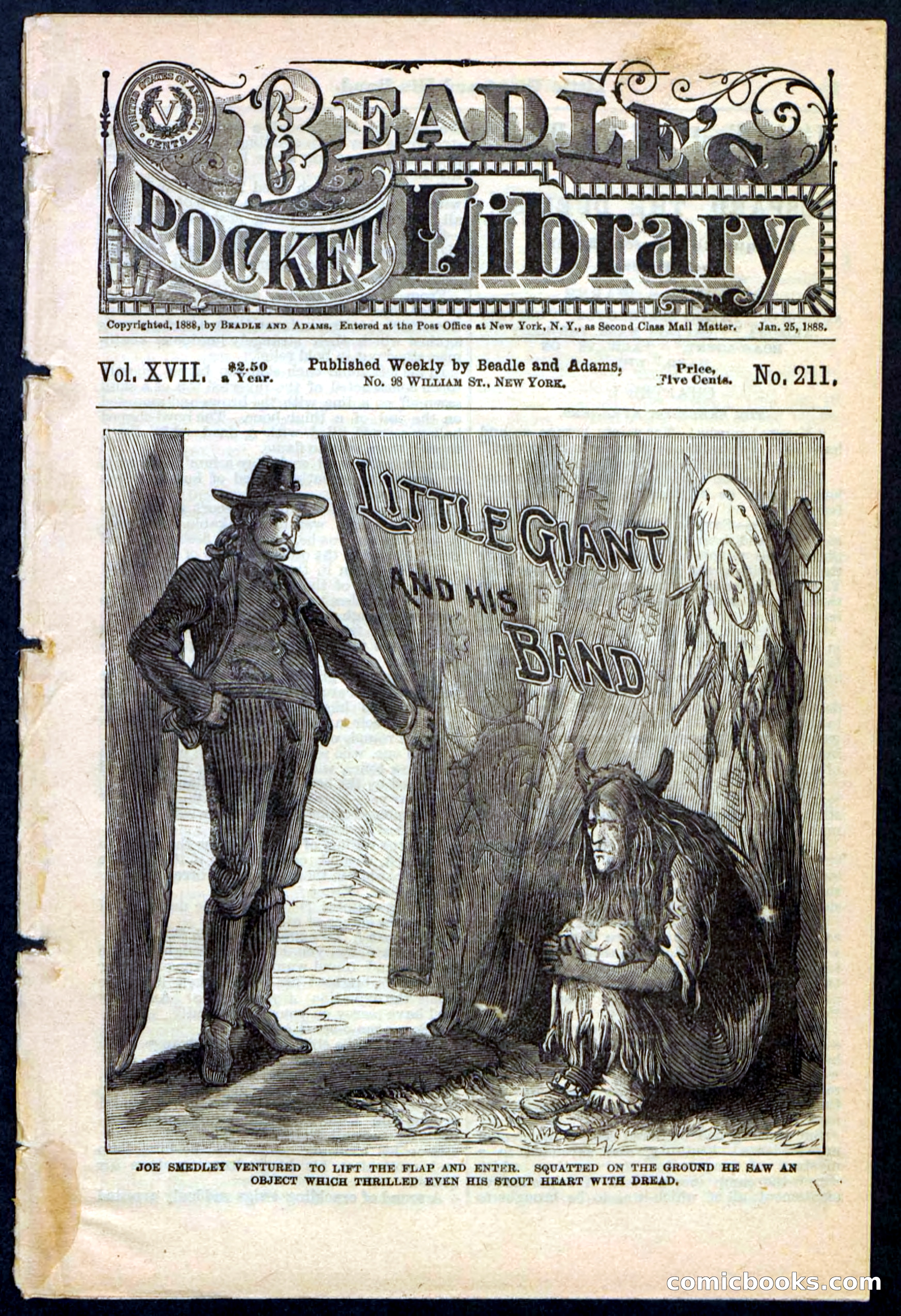 Beadle's Pocket Library No. 211 — page 1 of 32