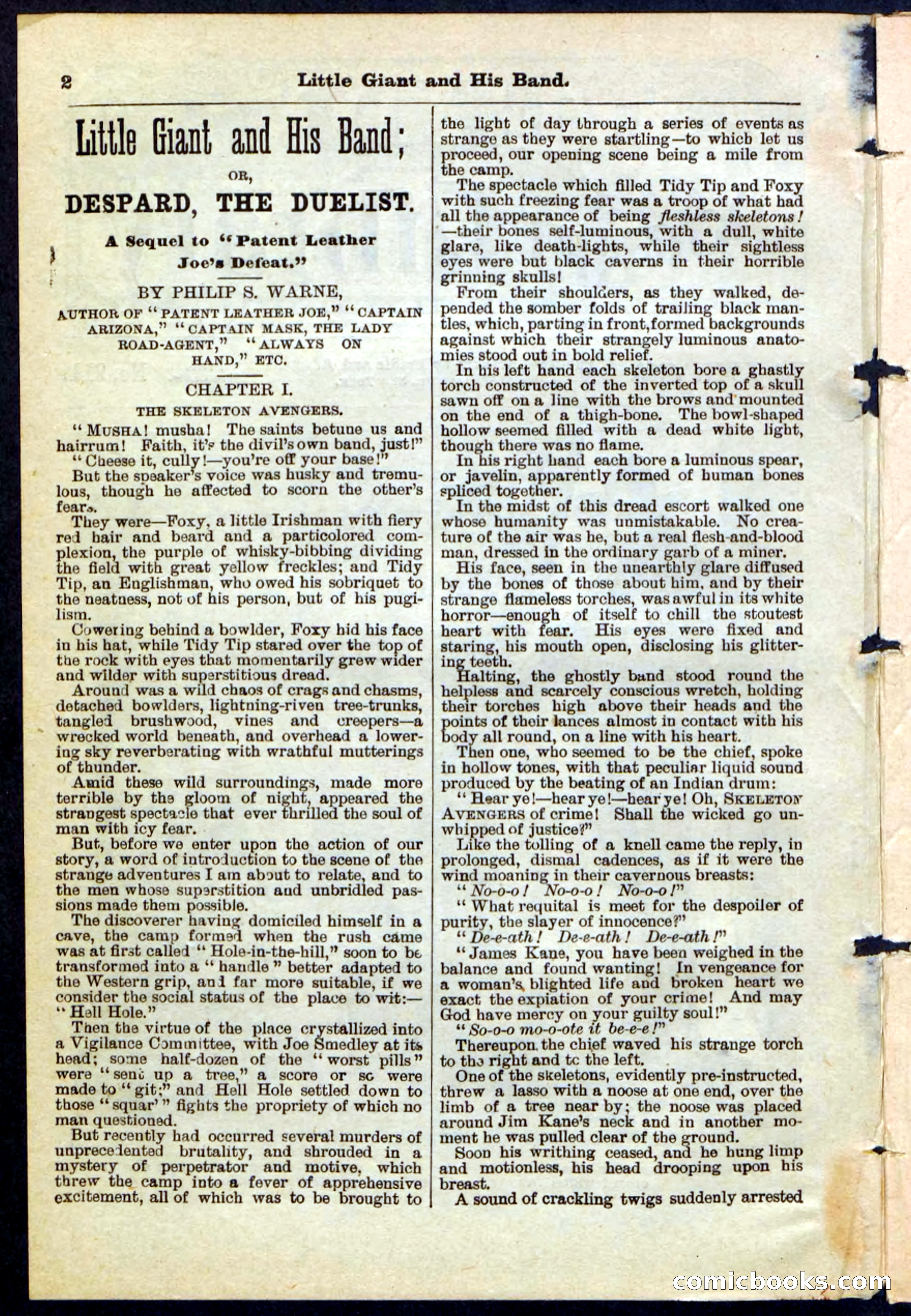 Beadle's Pocket Library No. 211 — page 2 of 32