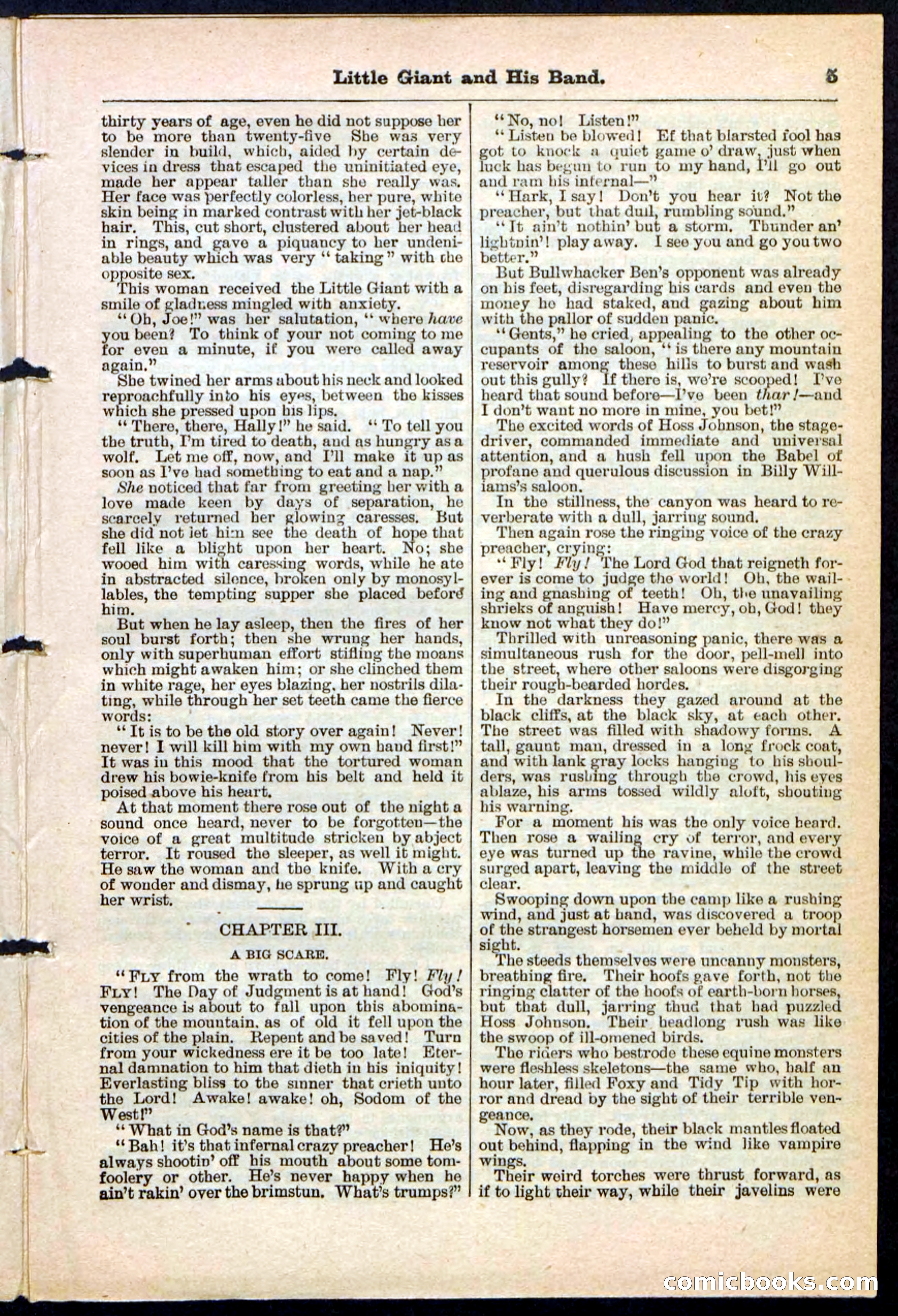 Beadle's Pocket Library No. 211 — page 5 of 32
