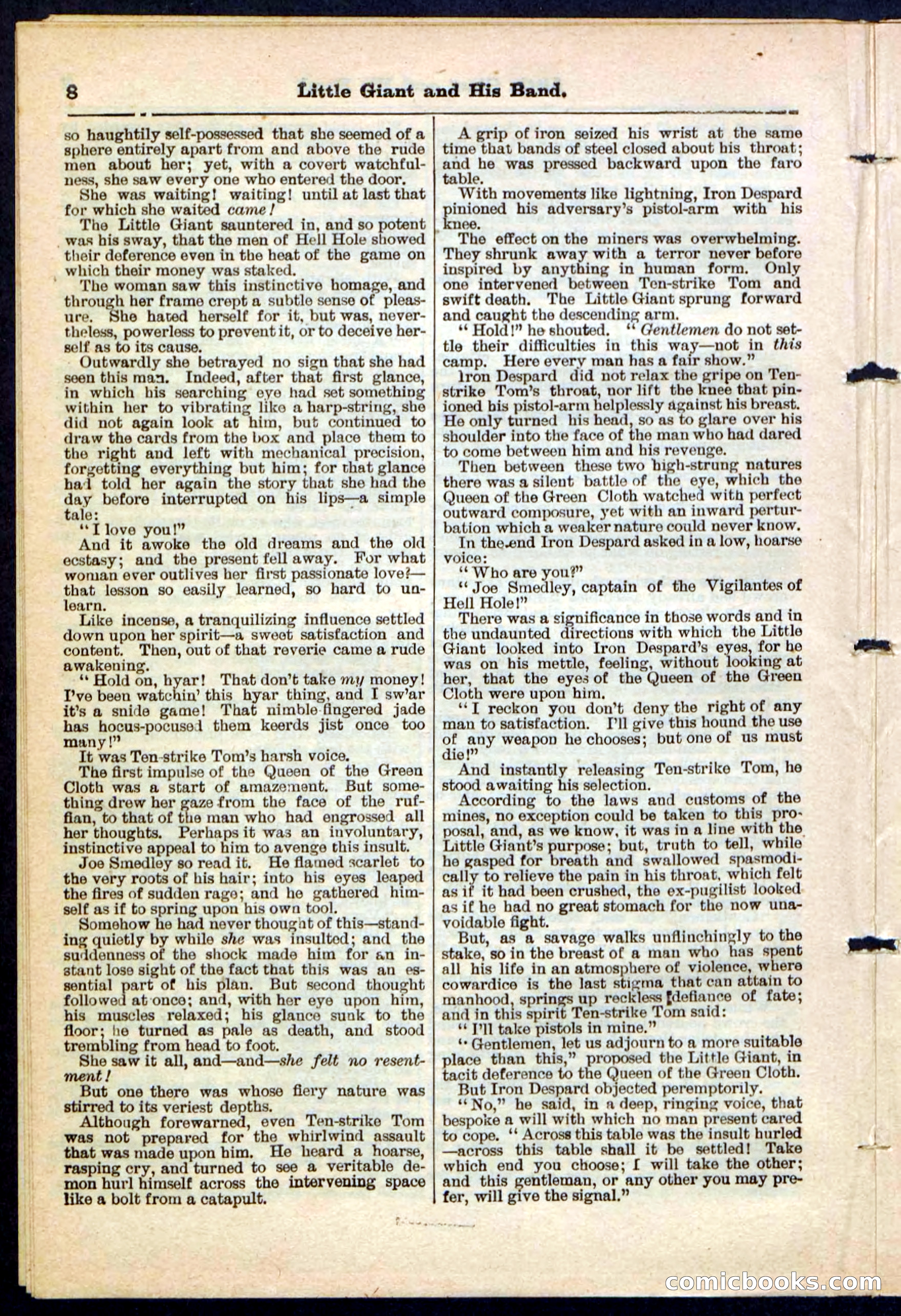 Beadle's Pocket Library No. 211 — page 8 of 32