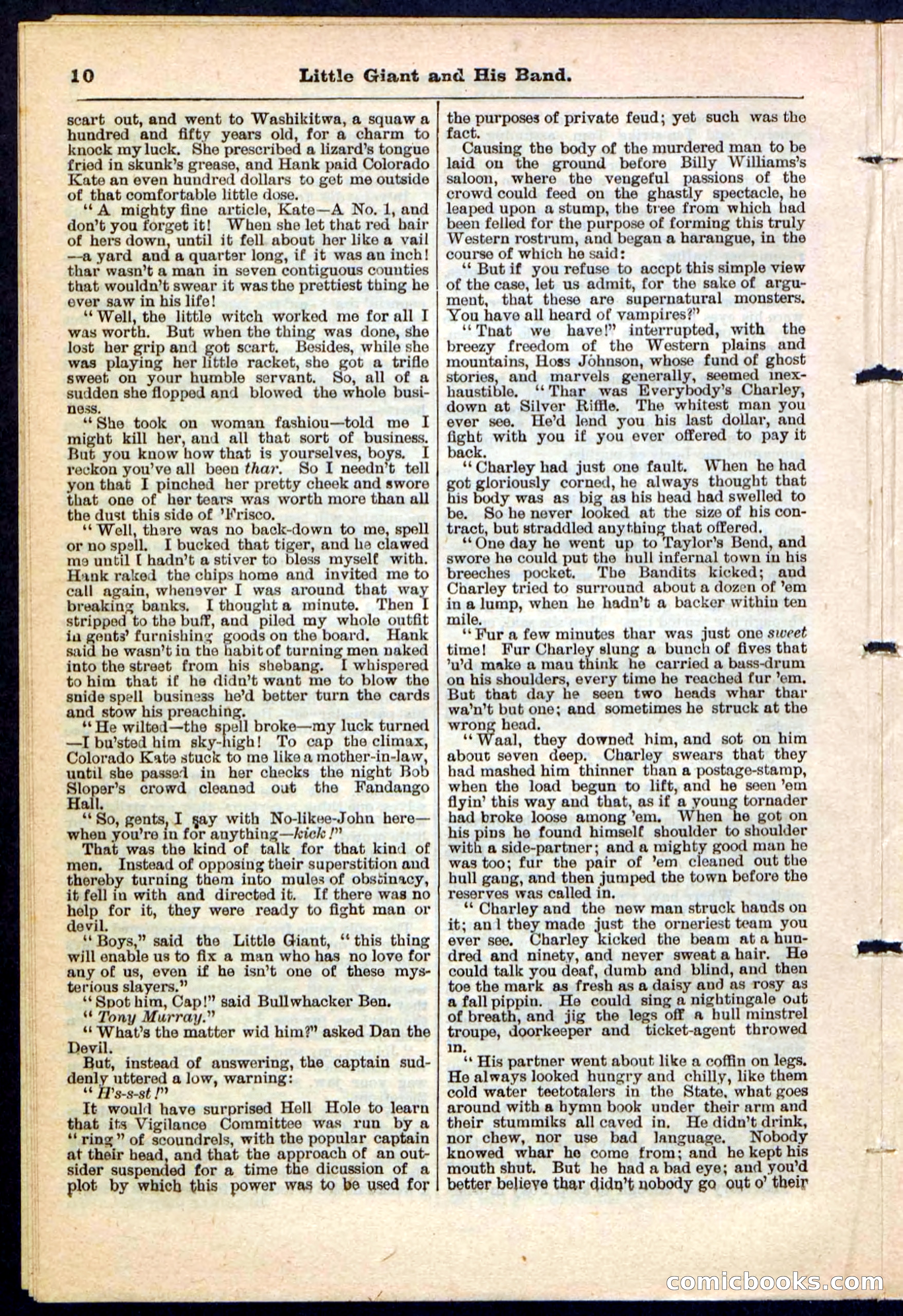Beadle's Pocket Library No. 211 — page 10 of 32