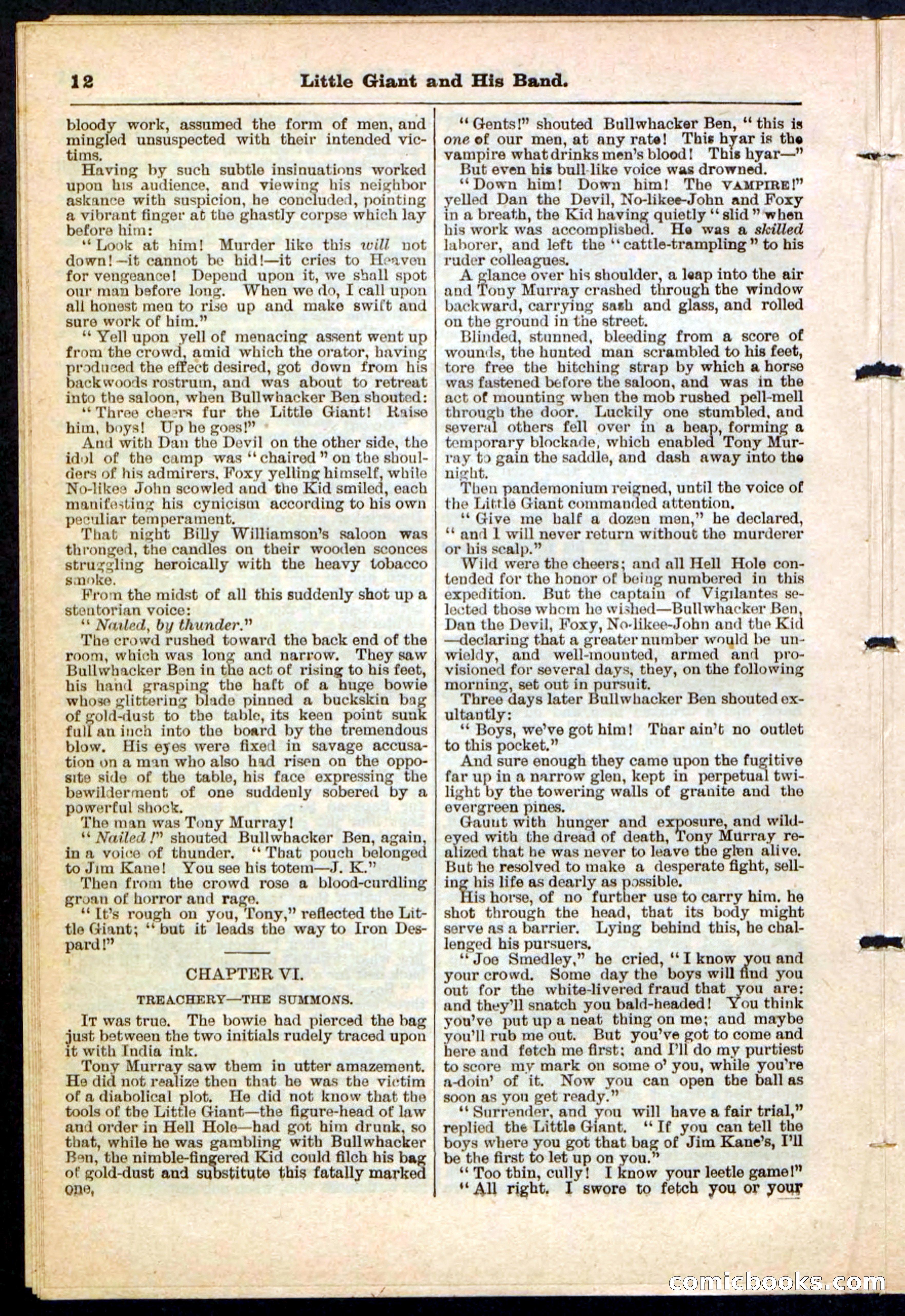 Beadle's Pocket Library No. 211 — page 12 of 32