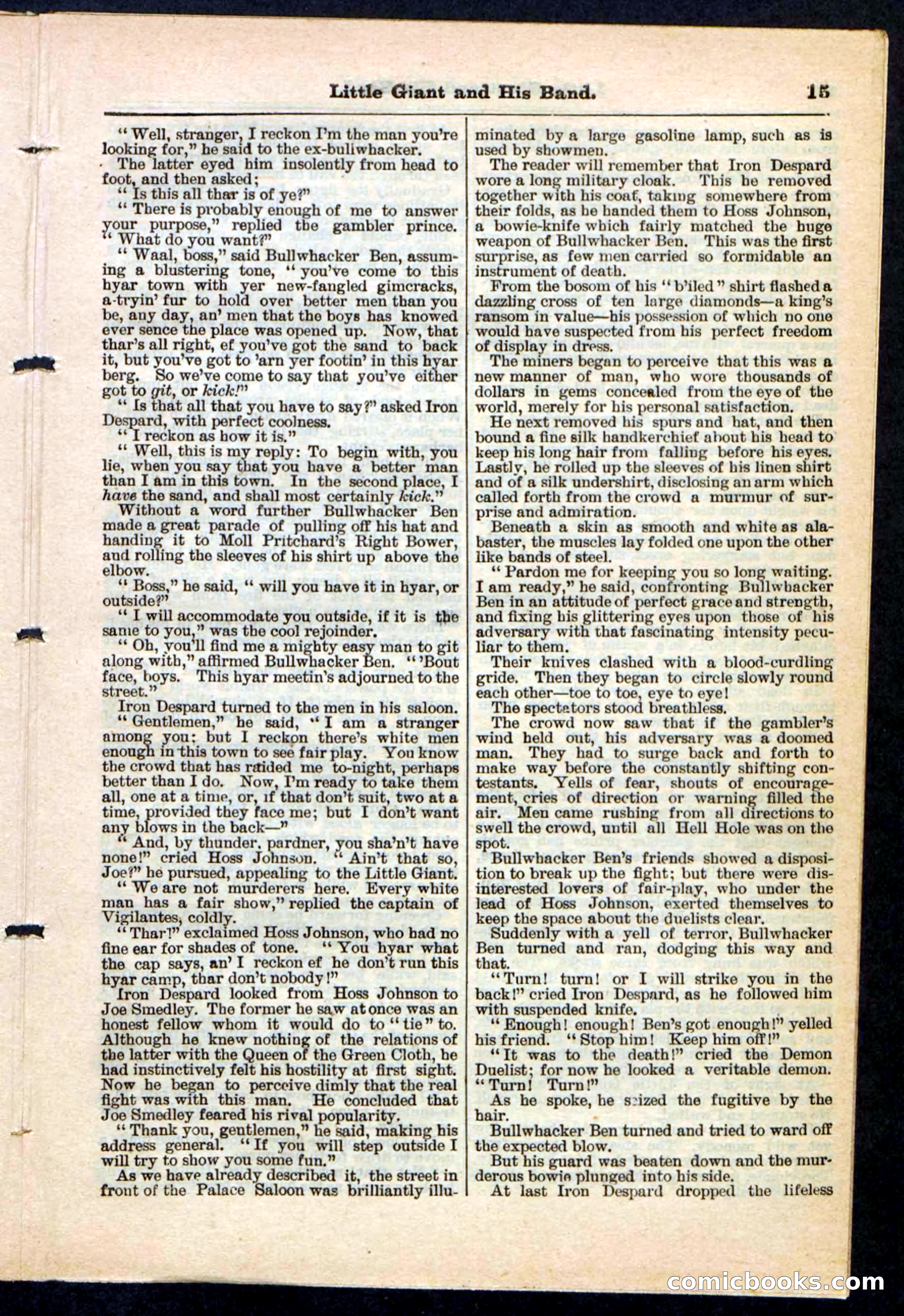 Beadle's Pocket Library No. 211 — page 15 of 32