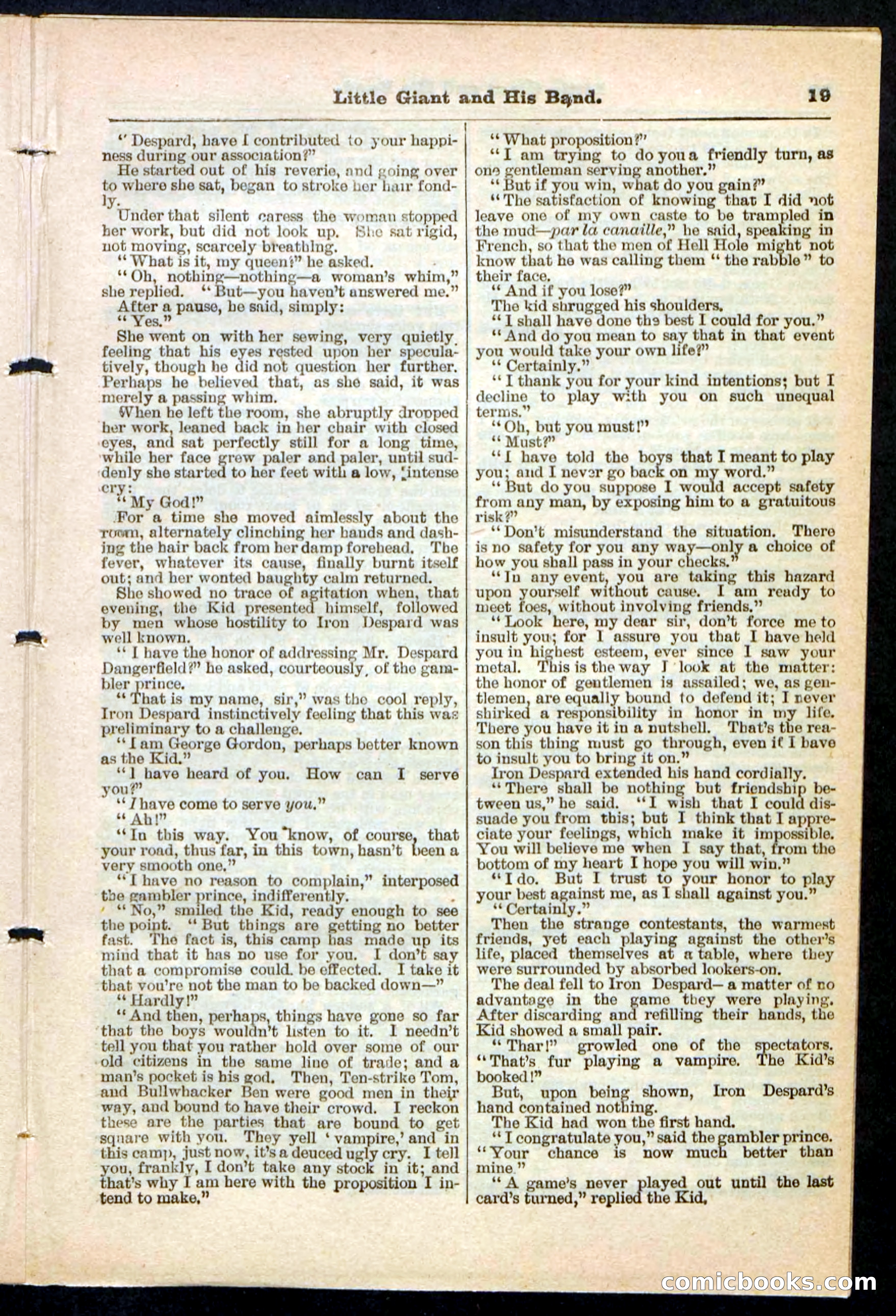 Beadle's Pocket Library No. 211 — page 19 of 32
