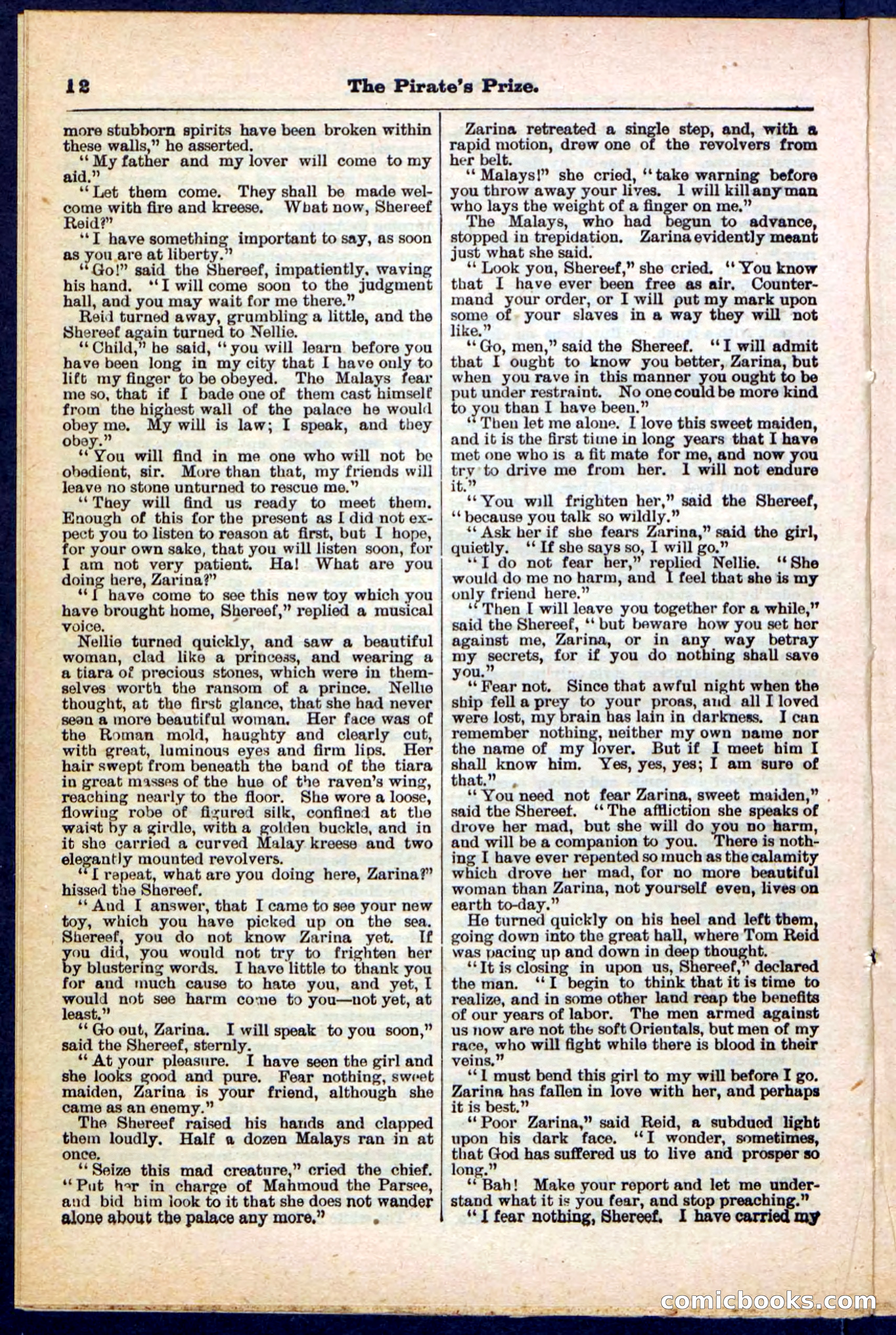Beadle's Pocket Library No. 213: The Pirate's Prize — page 12 of 32