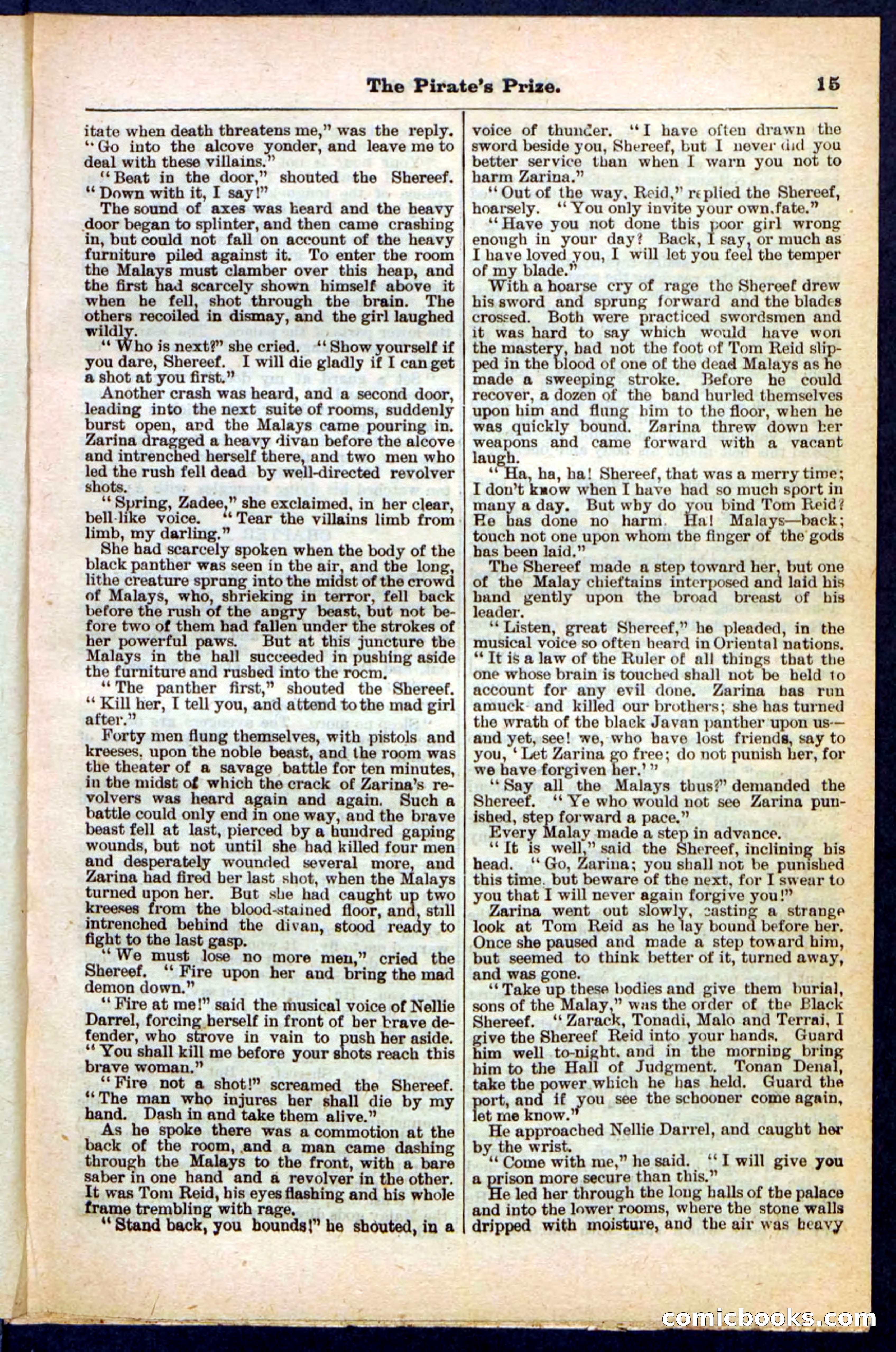 Beadle's Pocket Library No. 213: The Pirate's Prize — page 15 of 32