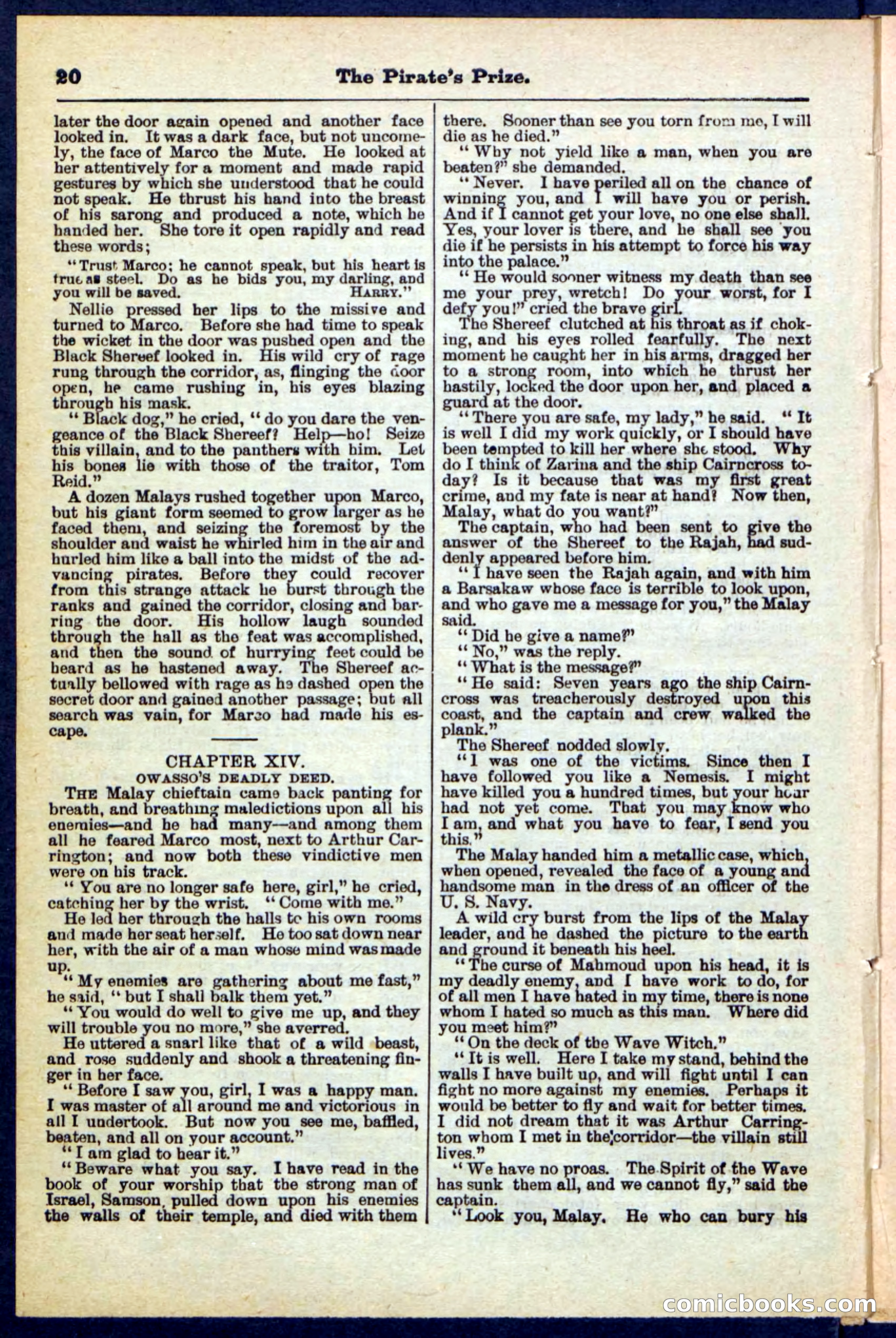 Beadle's Pocket Library No. 213: The Pirate's Prize — page 20 of 32