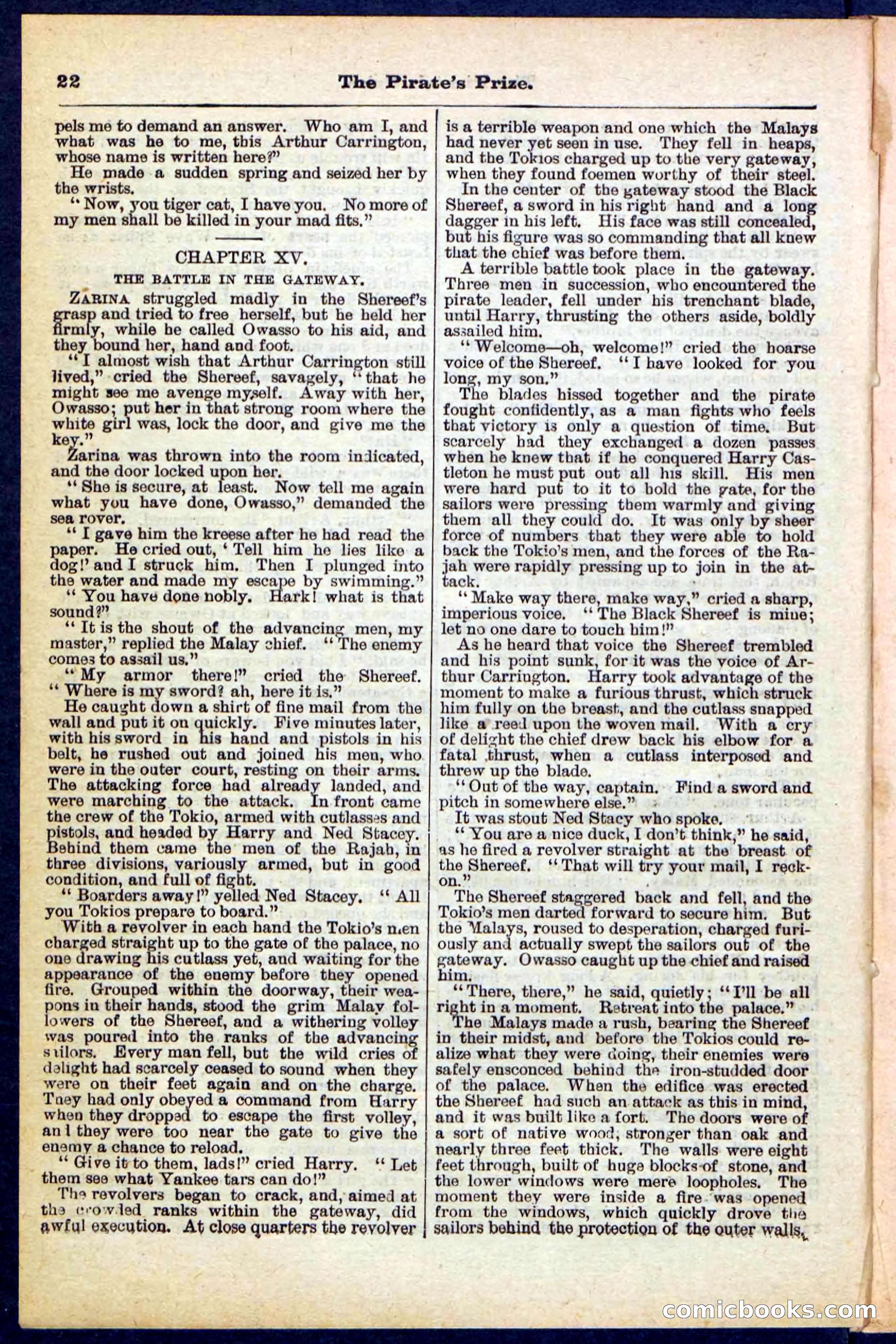 Beadle's Pocket Library No. 213: The Pirate's Prize — page 22 of 32