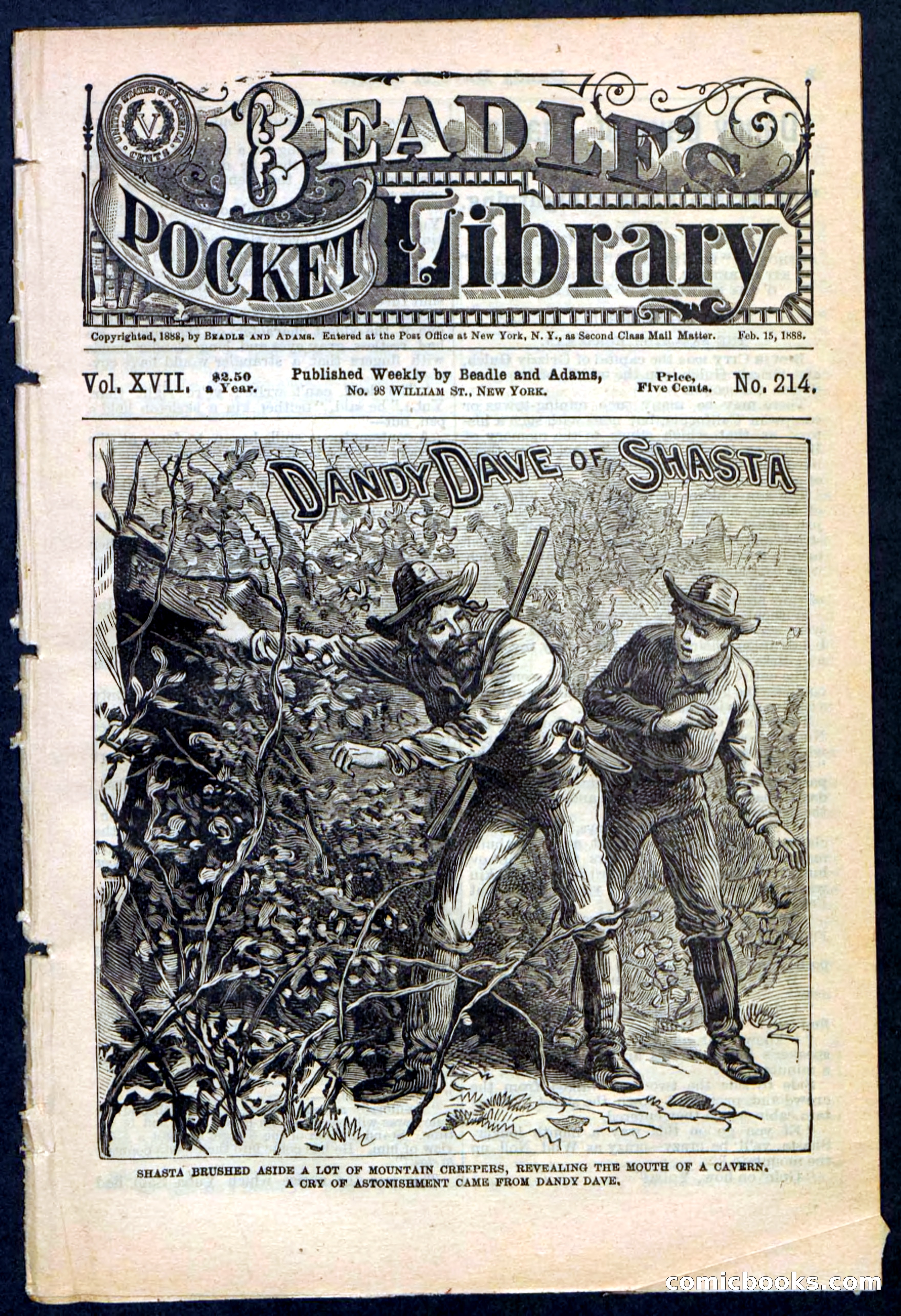 Beadle's Pocket Library No. 214 — page 1 of 32