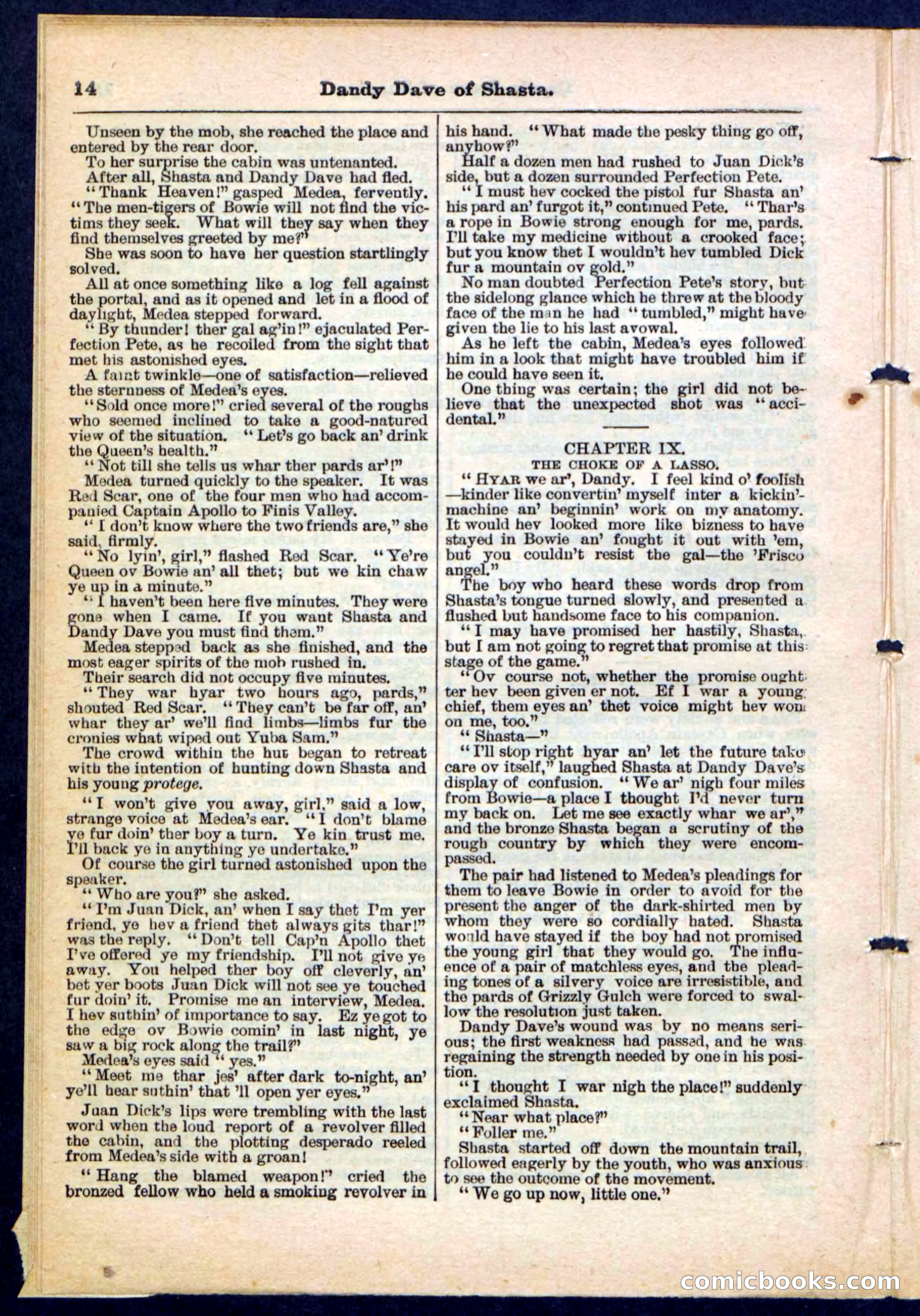 Beadle's Pocket Library No. 214 — page 14 of 32