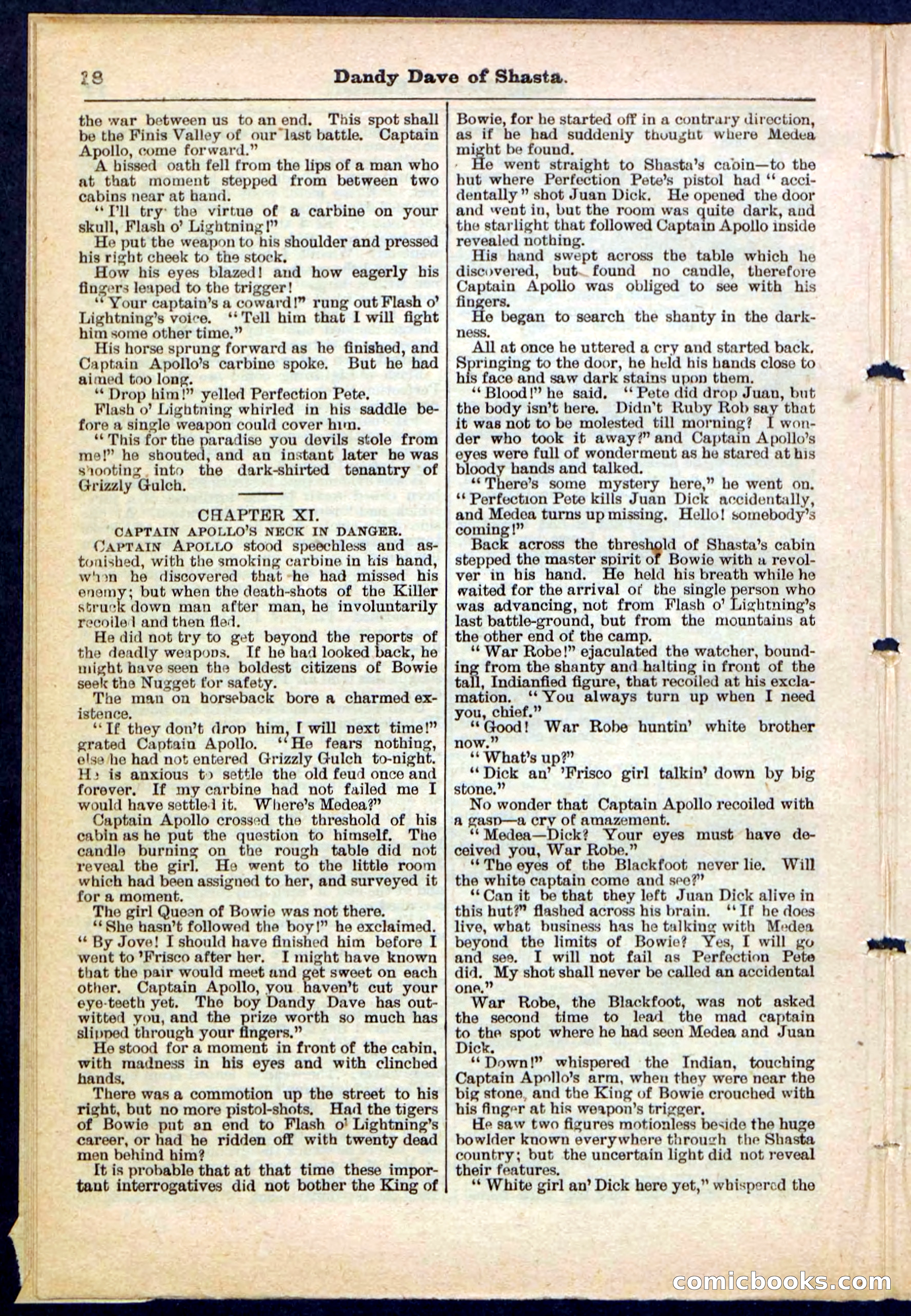 Beadle's Pocket Library No. 214 — page 18 of 32