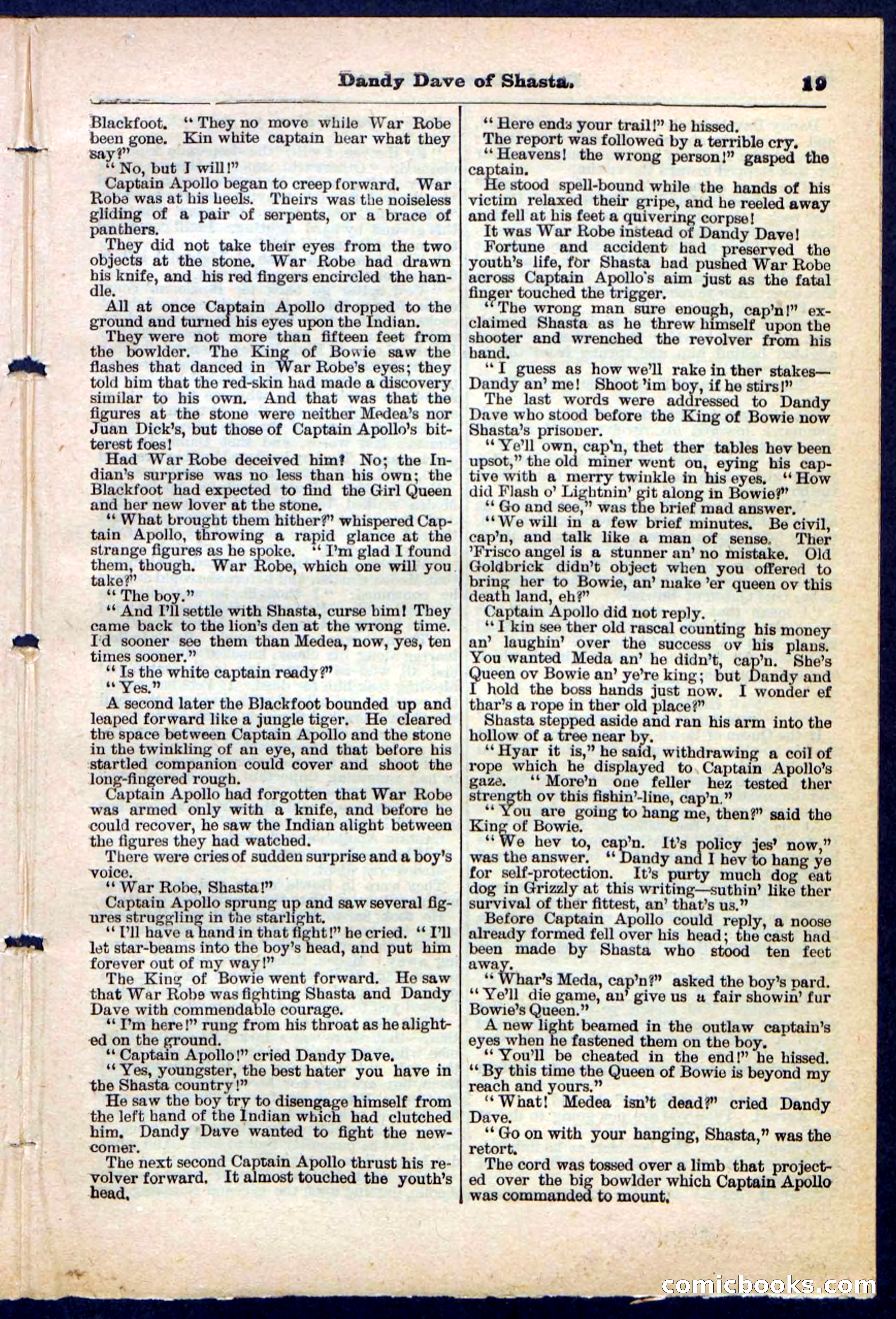 Beadle's Pocket Library No. 214 — page 19 of 32