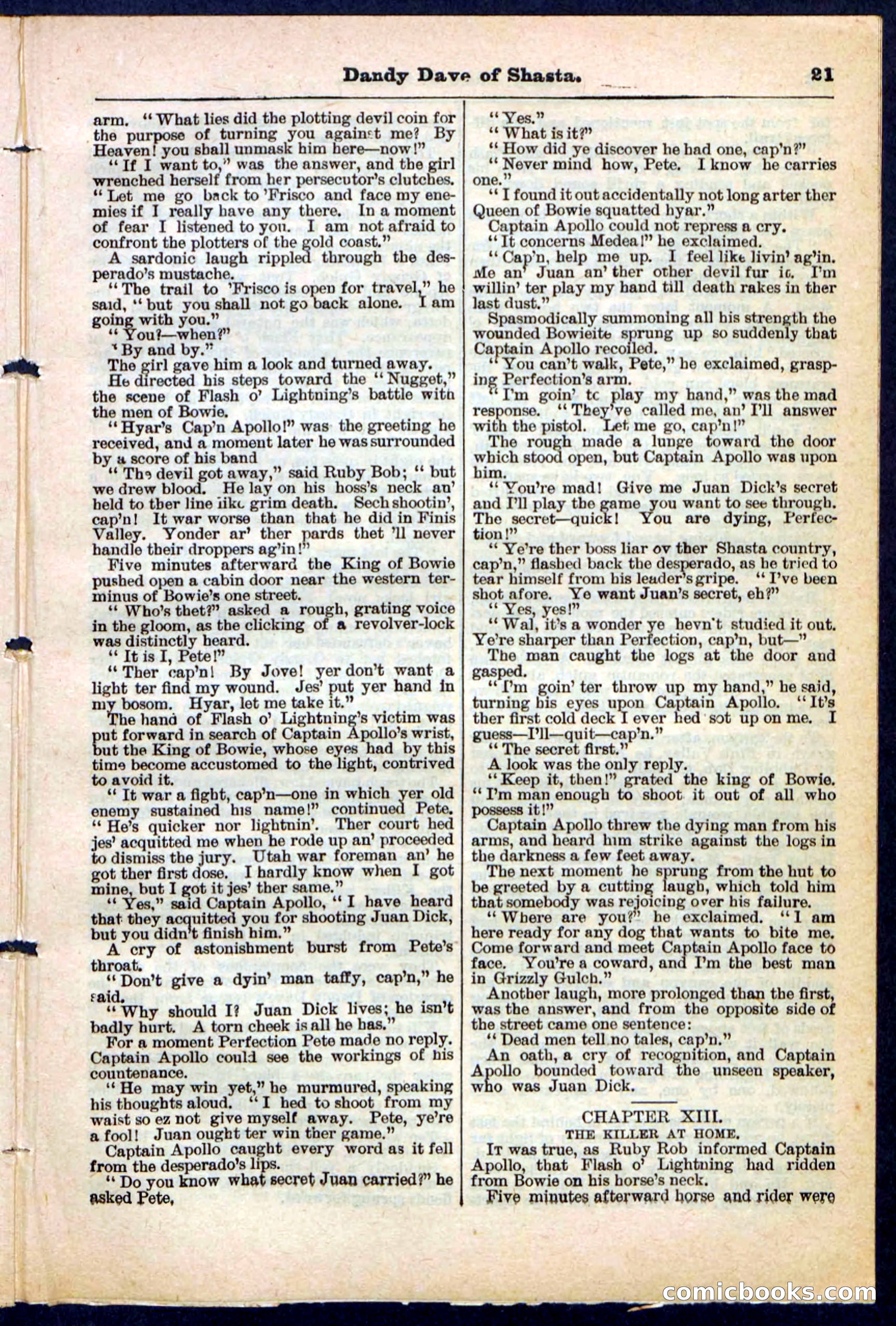 Beadle's Pocket Library No. 214 — page 21 of 32