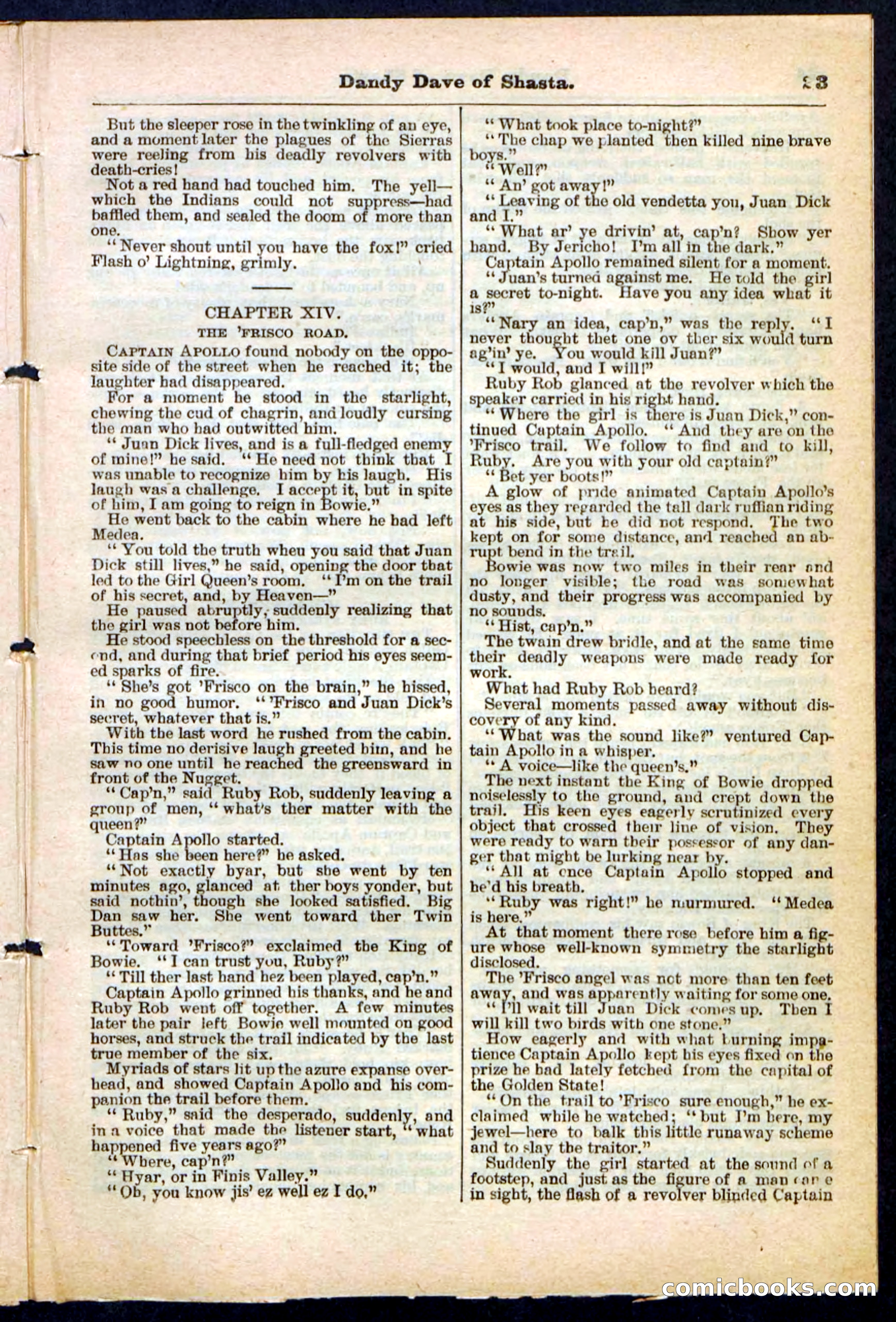 Beadle's Pocket Library No. 214 — page 23 of 32