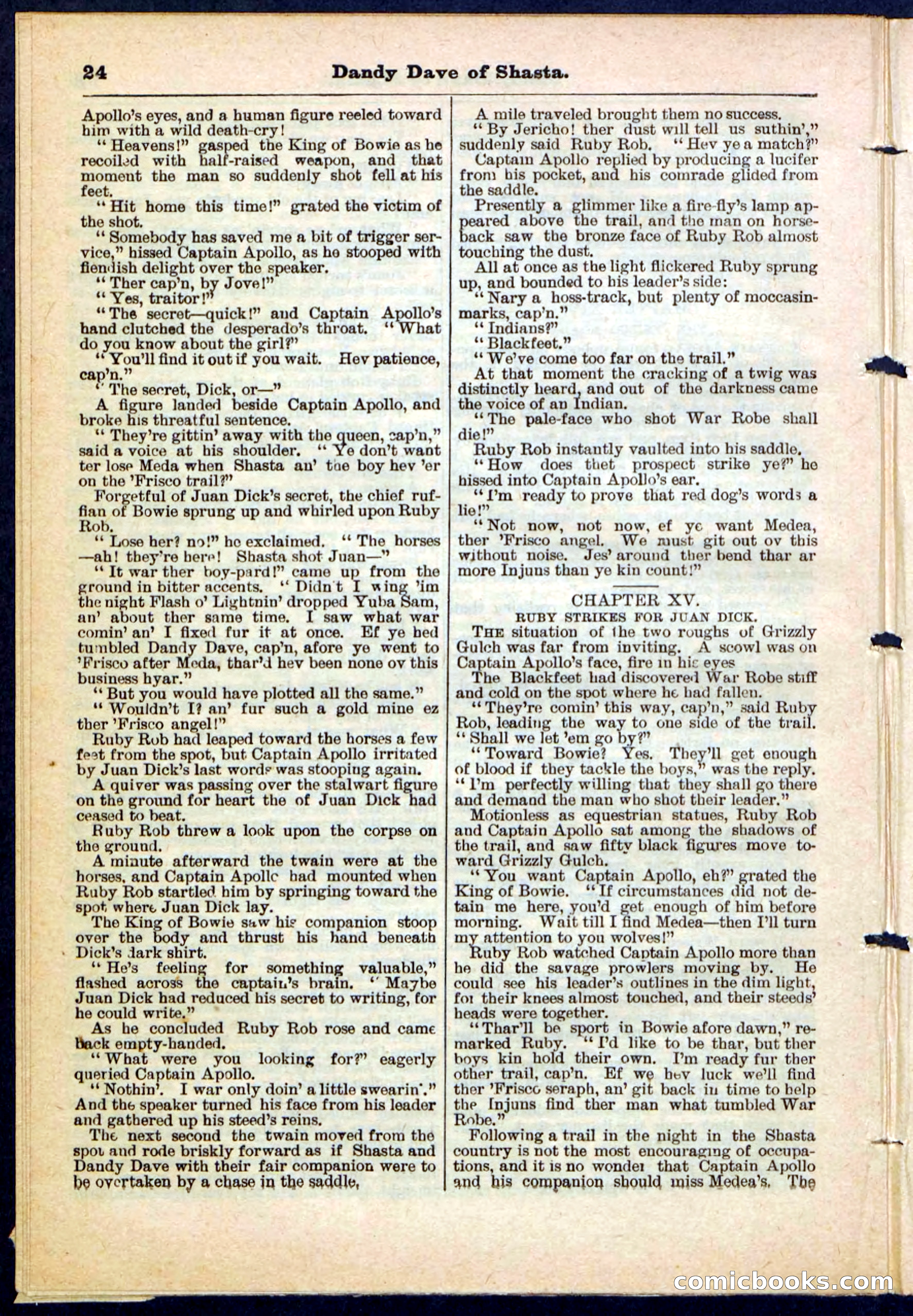 Beadle's Pocket Library No. 214 — page 24 of 32