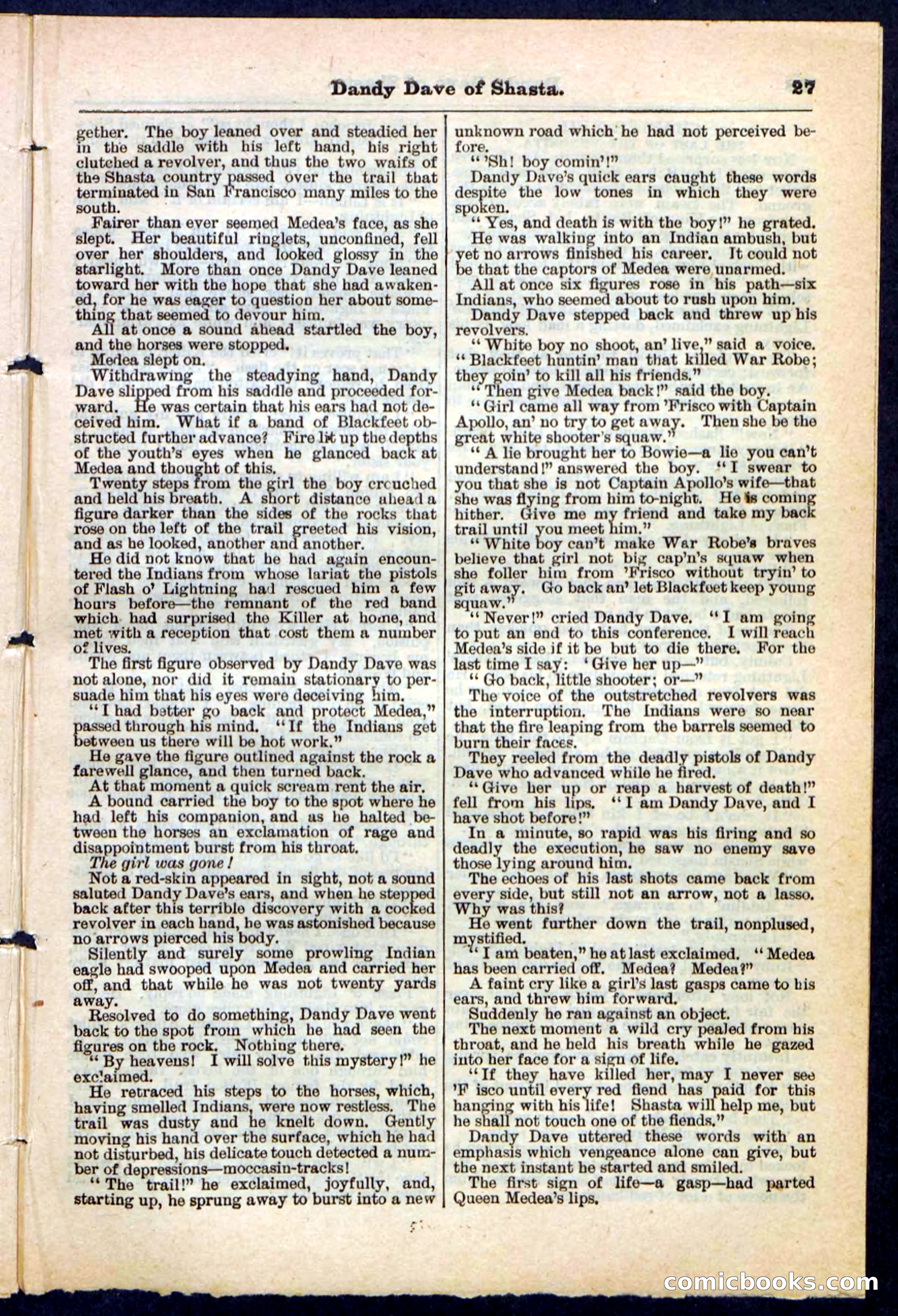 Beadle's Pocket Library No. 214 — page 27 of 32