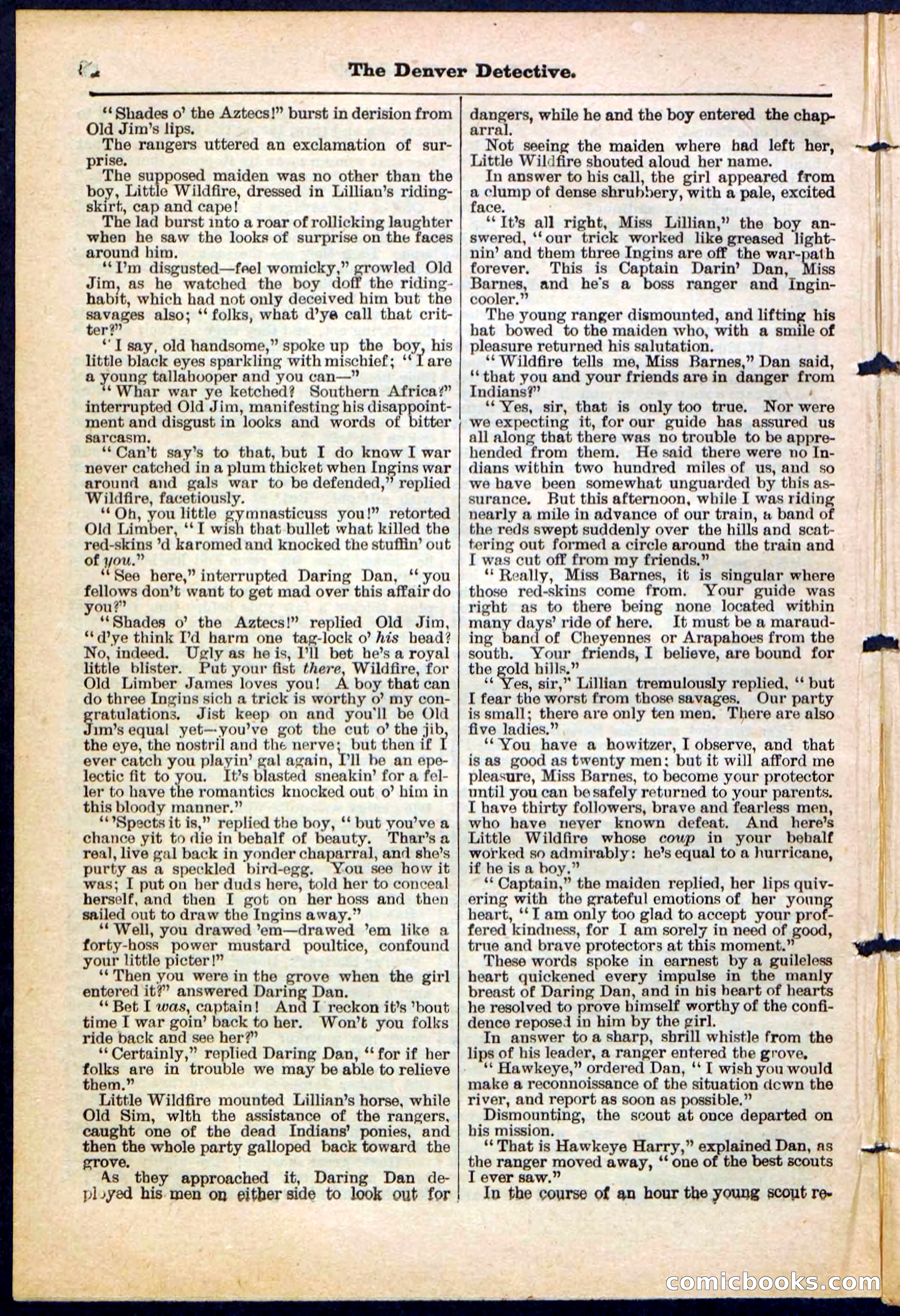 Beadle's Pocket Library No. 215 — page 4 of 32