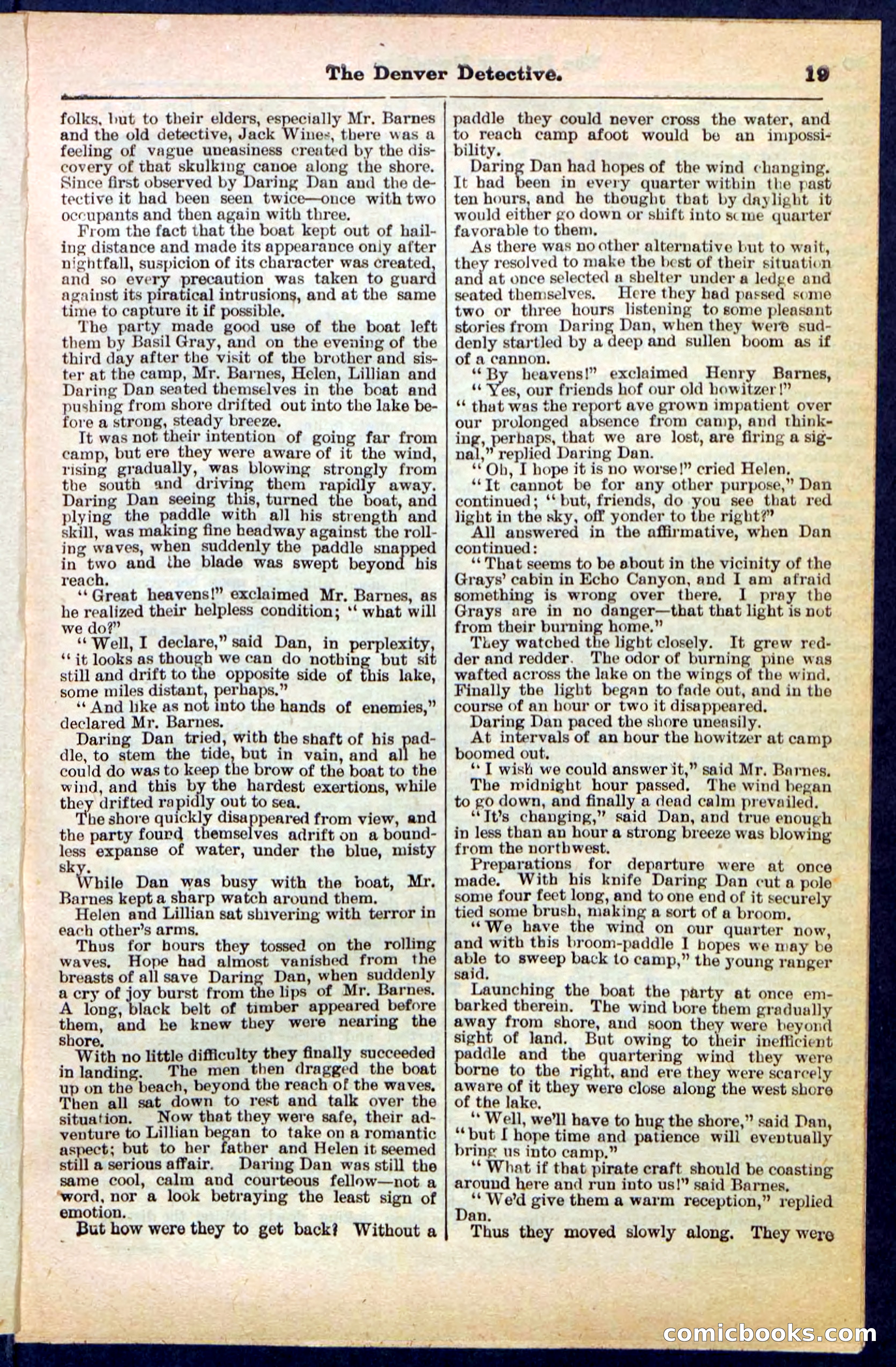 Beadle's Pocket Library No. 215 — page 19 of 32