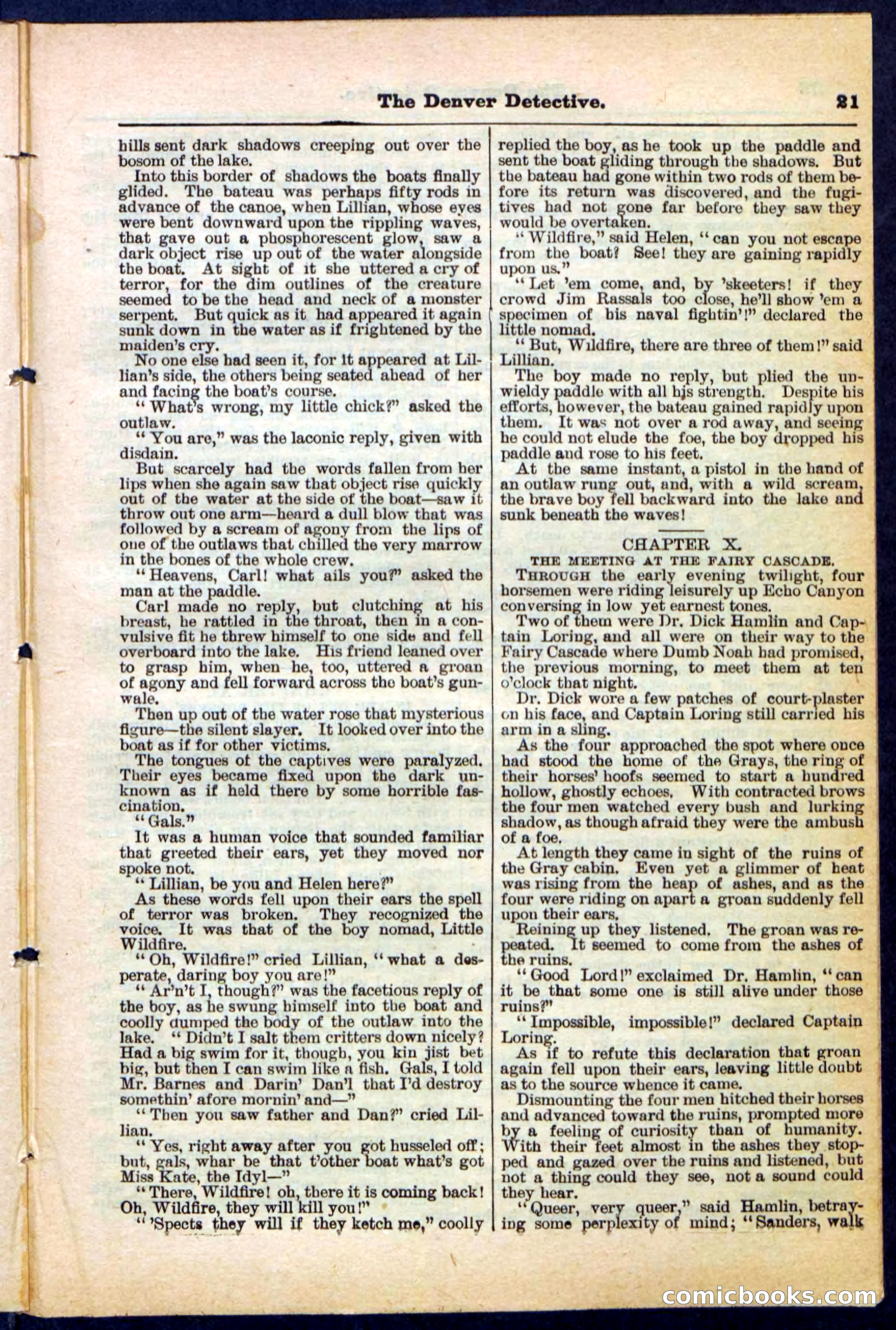 Beadle's Pocket Library No. 215 — page 21 of 32
