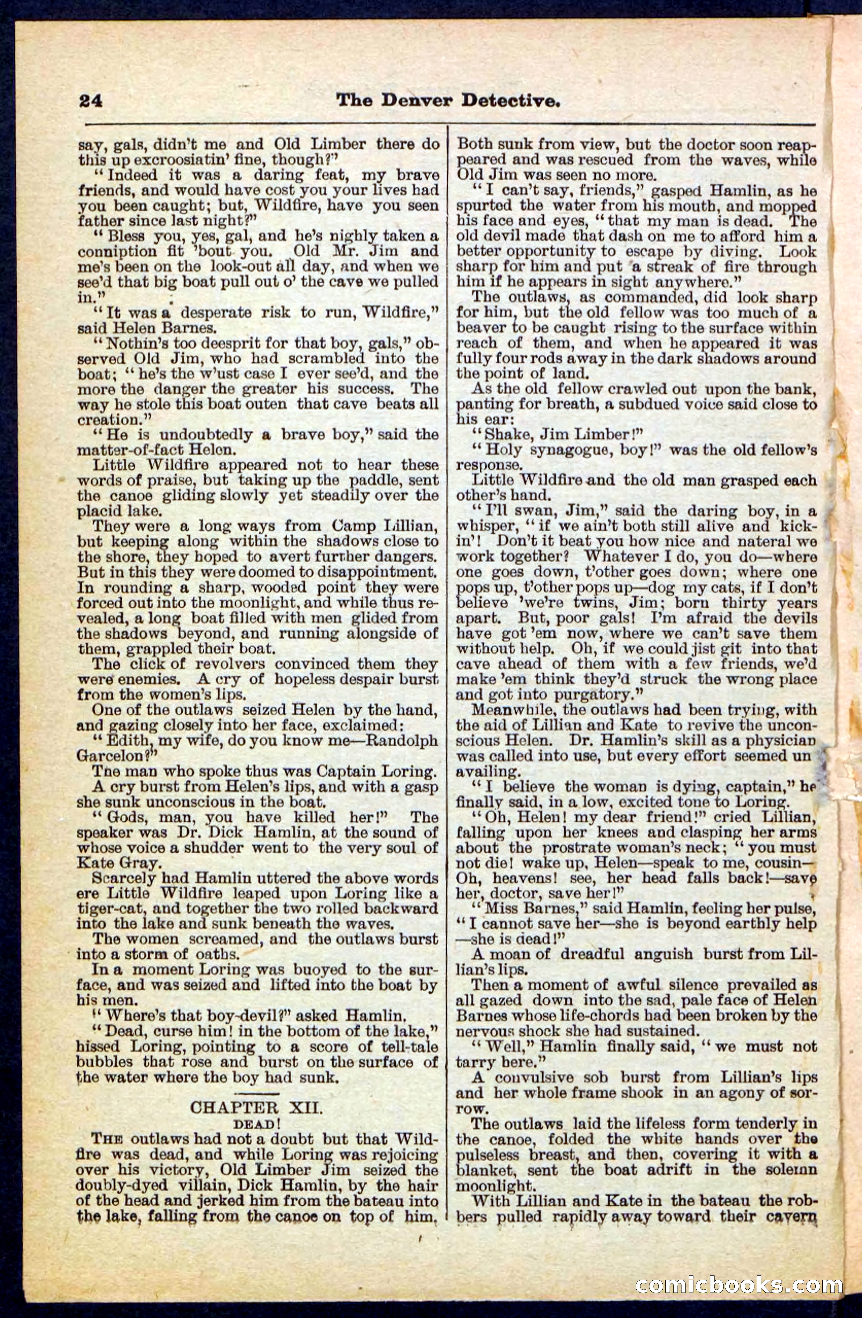 Beadle's Pocket Library No. 215 — page 24 of 32