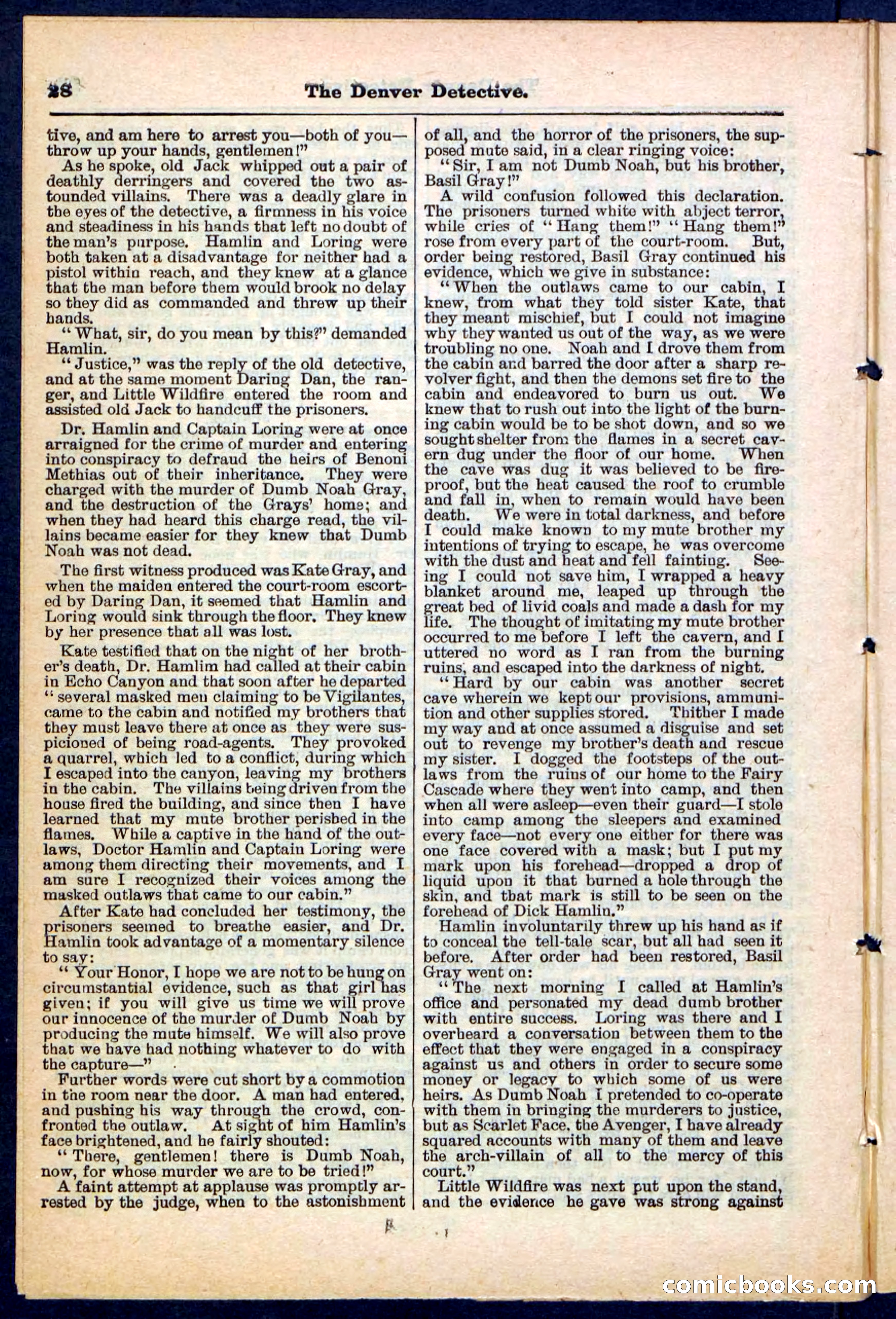 Beadle's Pocket Library No. 215 — page 28 of 32