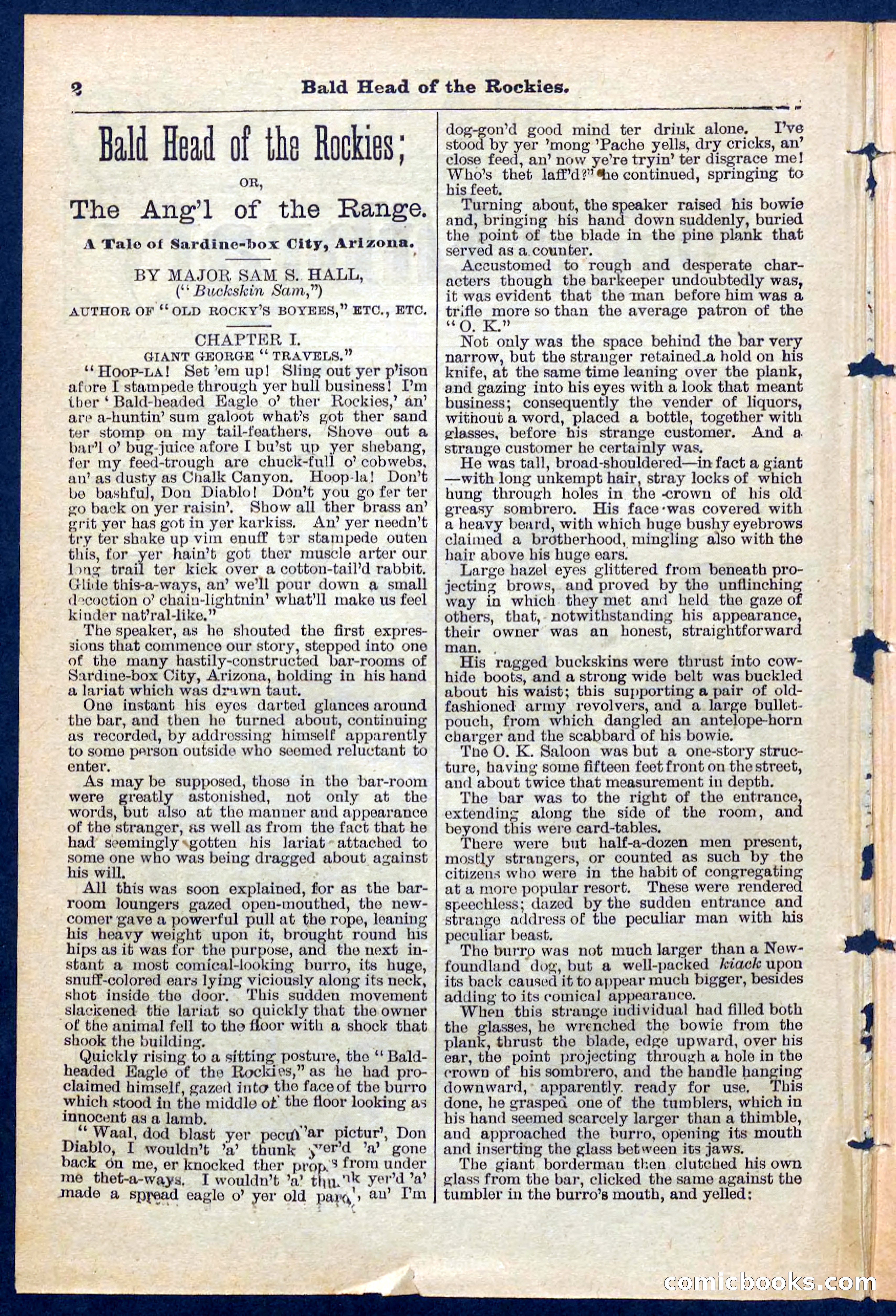 Beadle's Pocket Library No. 217 — page 2 of 32