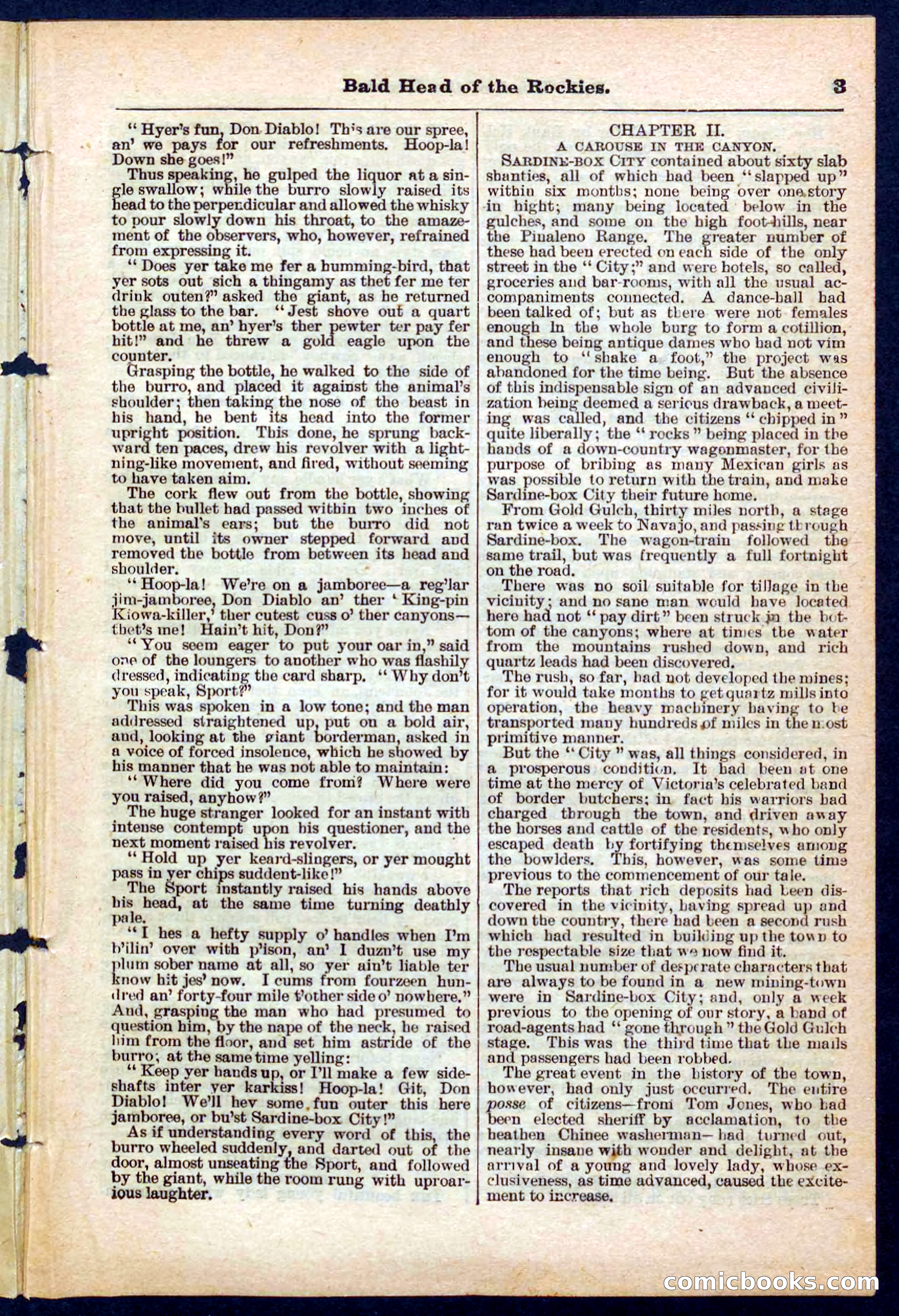 Beadle's Pocket Library No. 217 — page 3 of 32